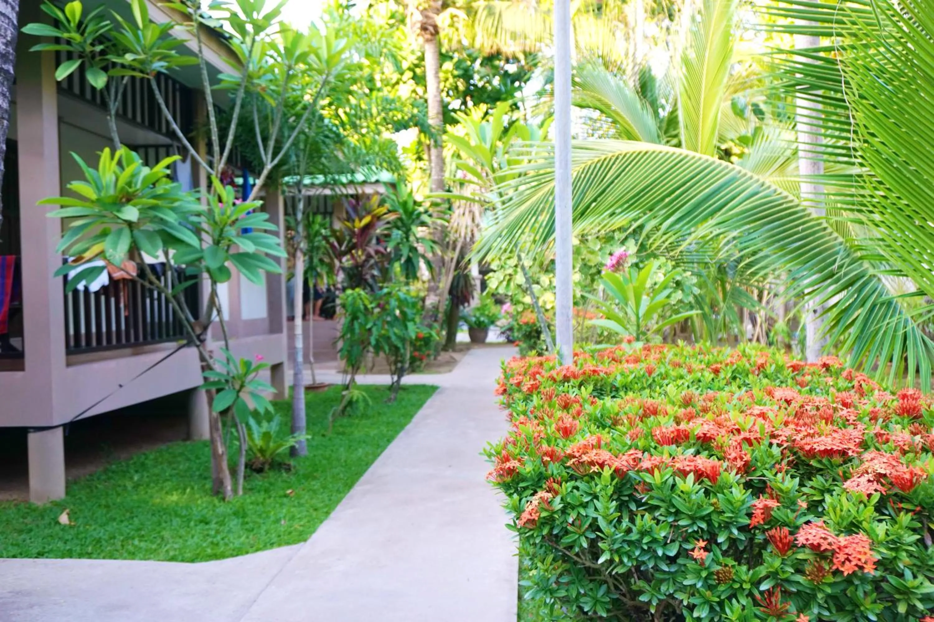 Garden in Lamai Inn 99 Bungalows