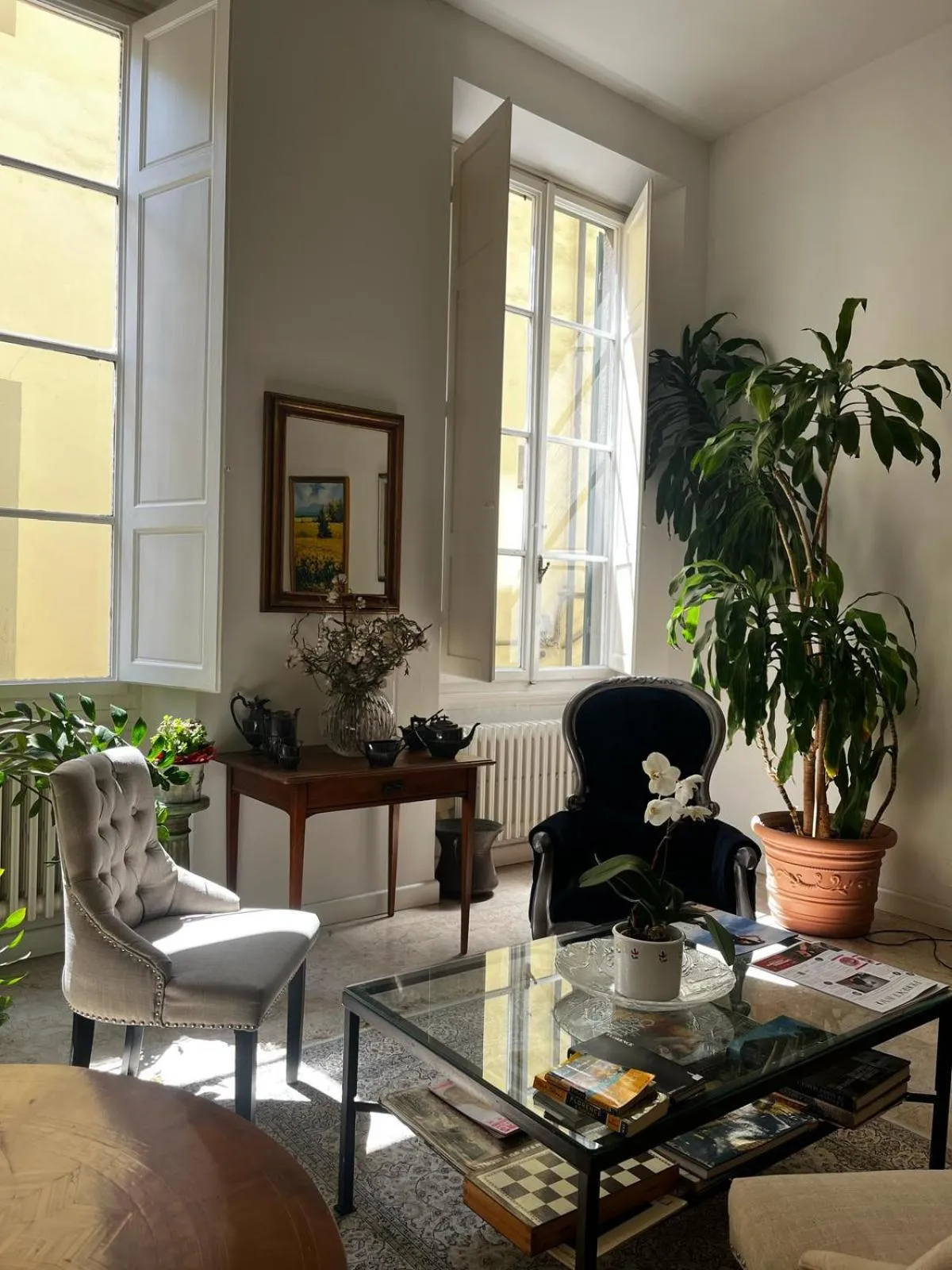 Living room in Badia Fiorentina