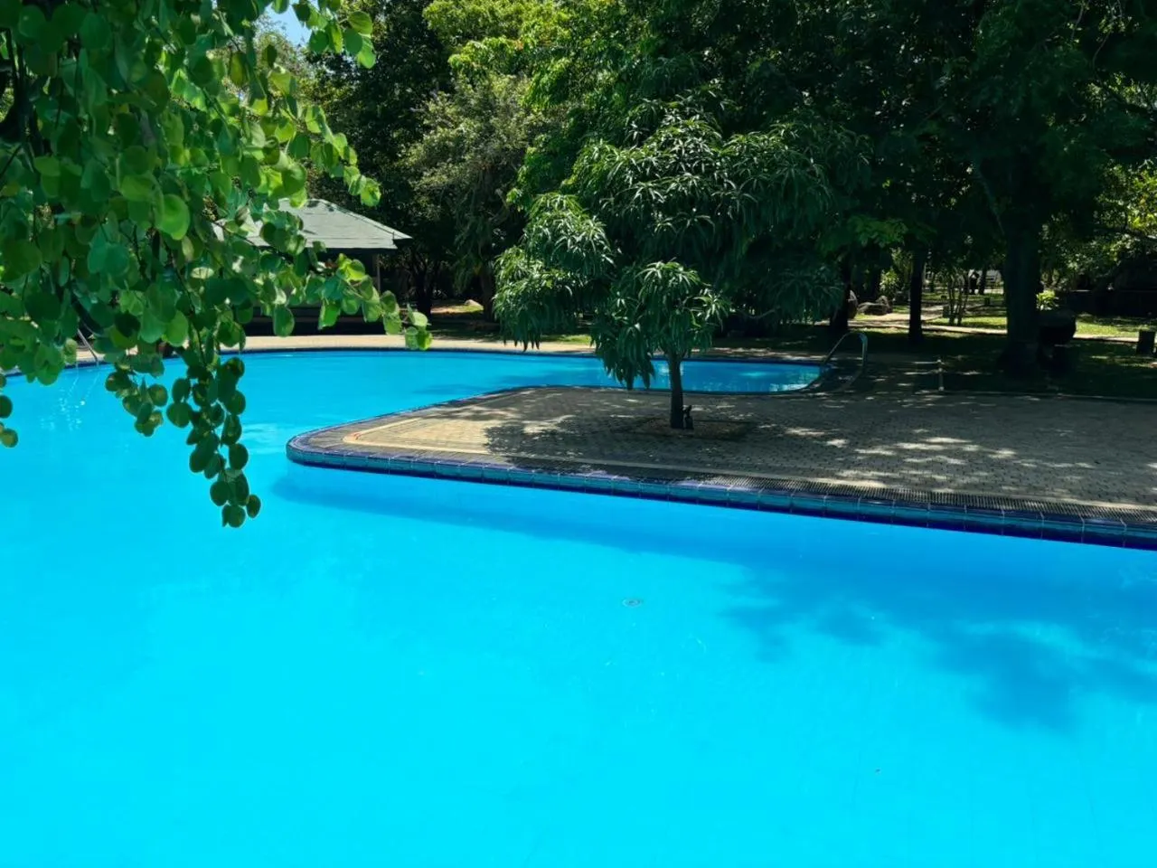 Swimming pool in Hotel Elephant Reach