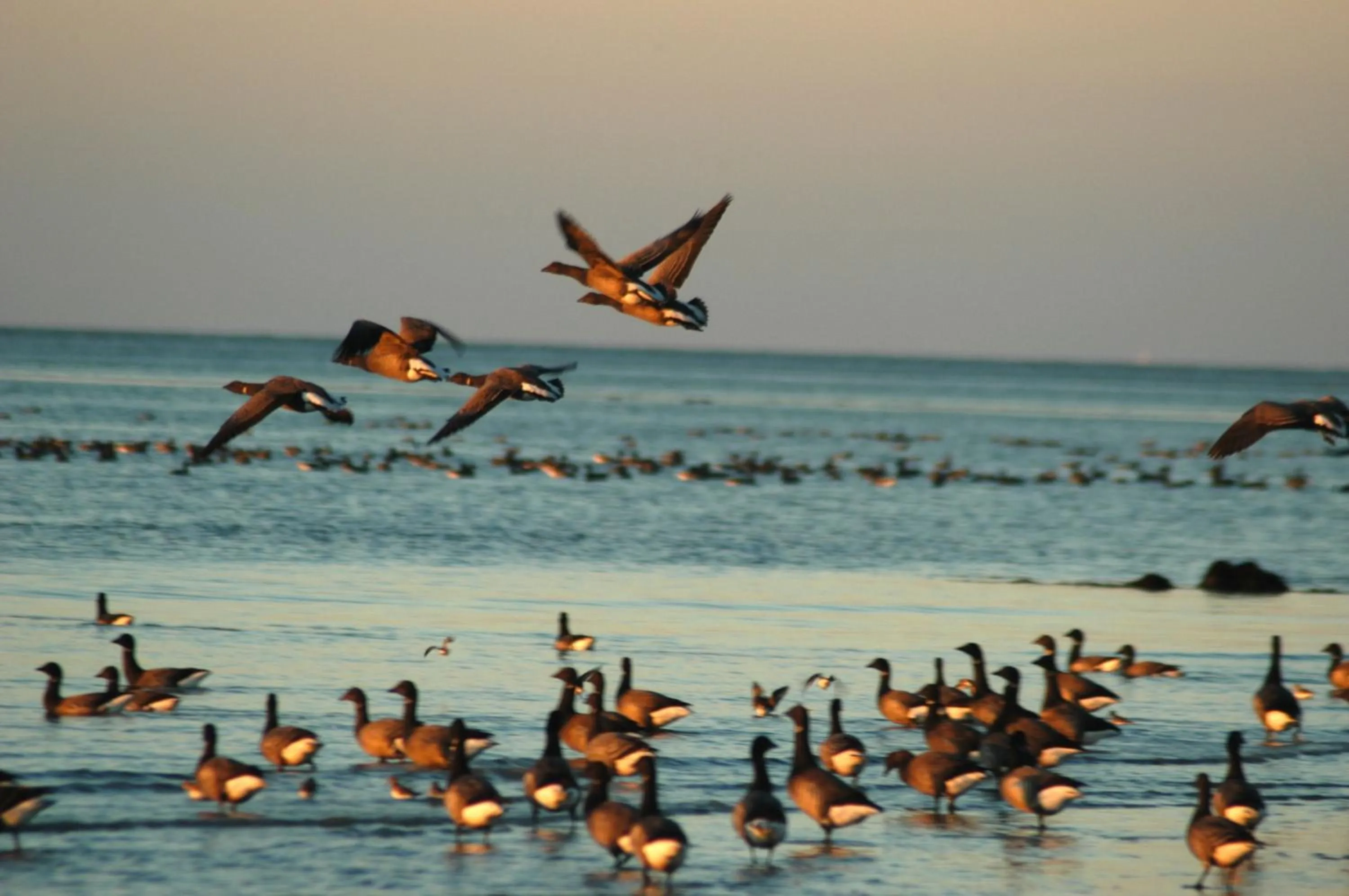Area and facilities in ibis Styles Saint Brieuc Gare Centre