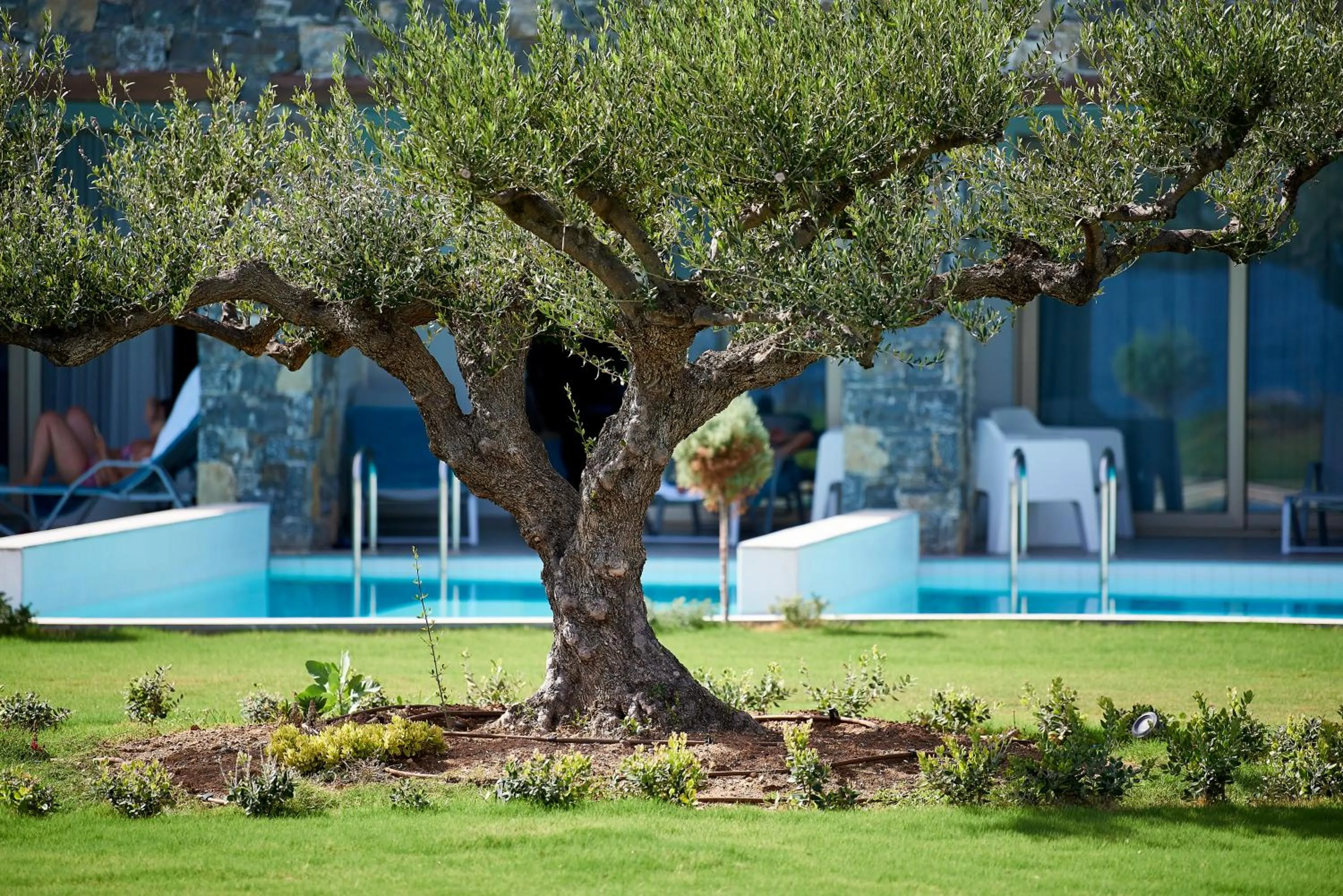 Swimming pool in Kakkos Beach Hotel - Adults Only