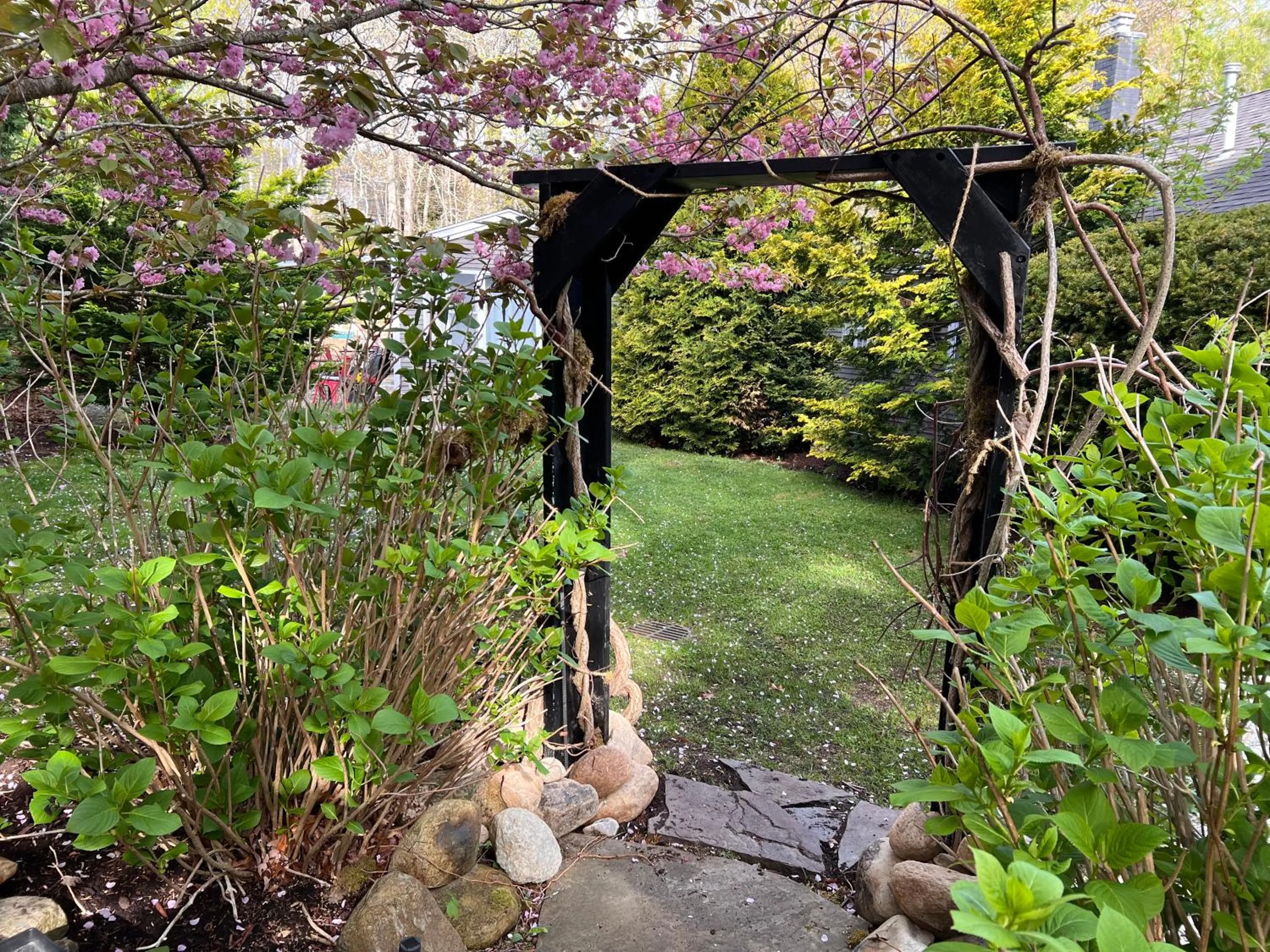 Garden in Frederick William House