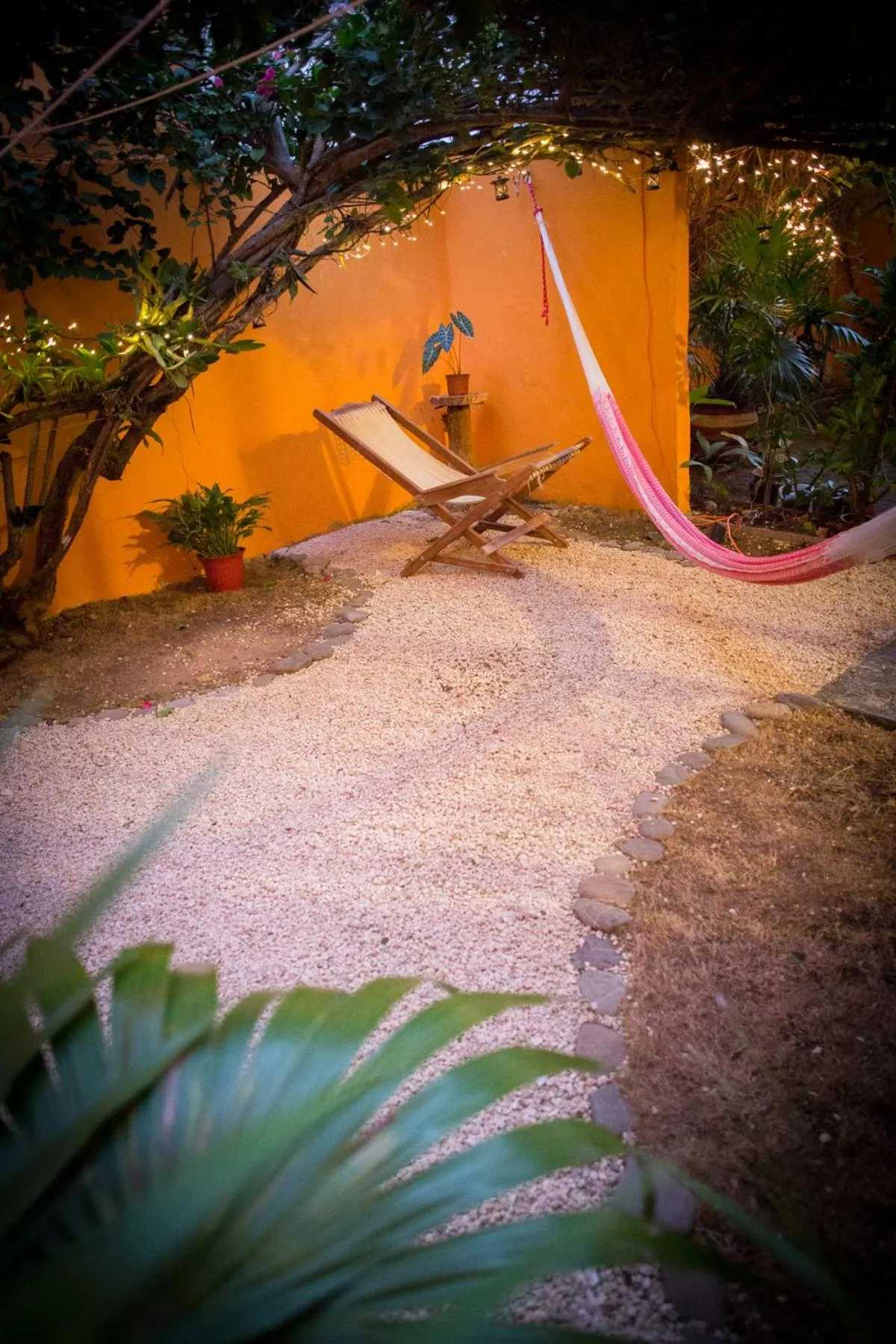 Patio in Casa Loritos
