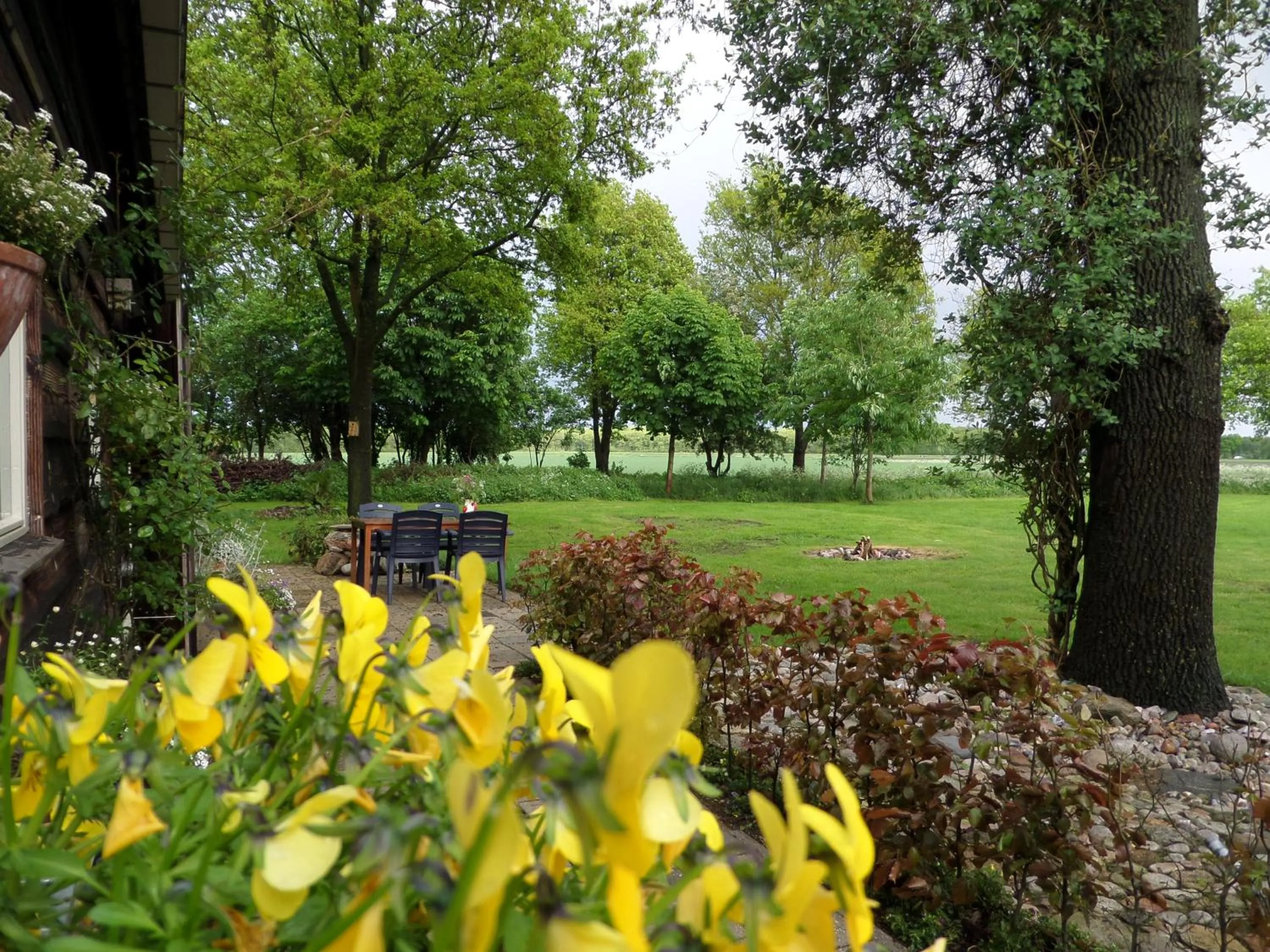 Garden view in mekelermeer