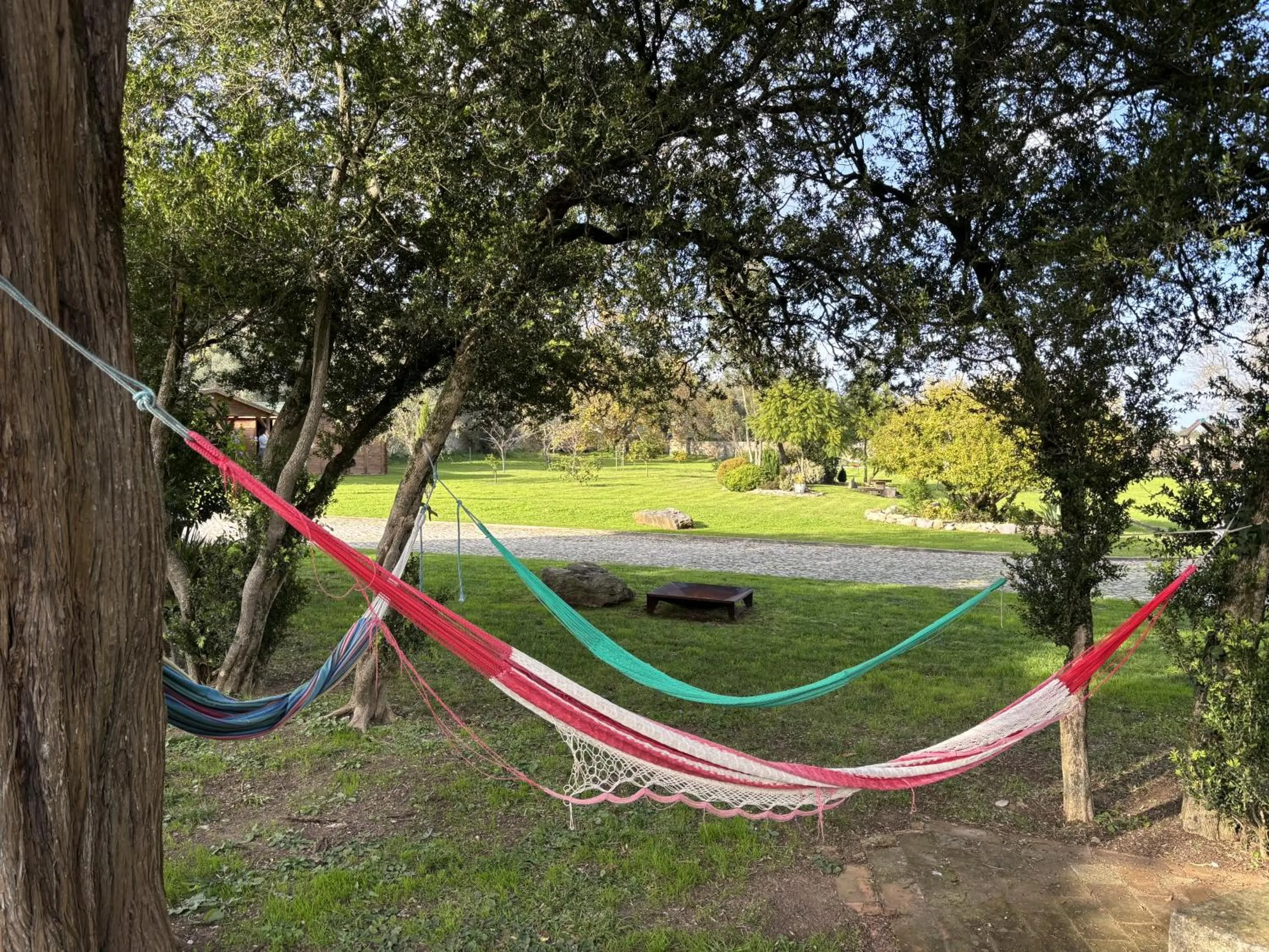 Garden view in Quinta Do Scoto