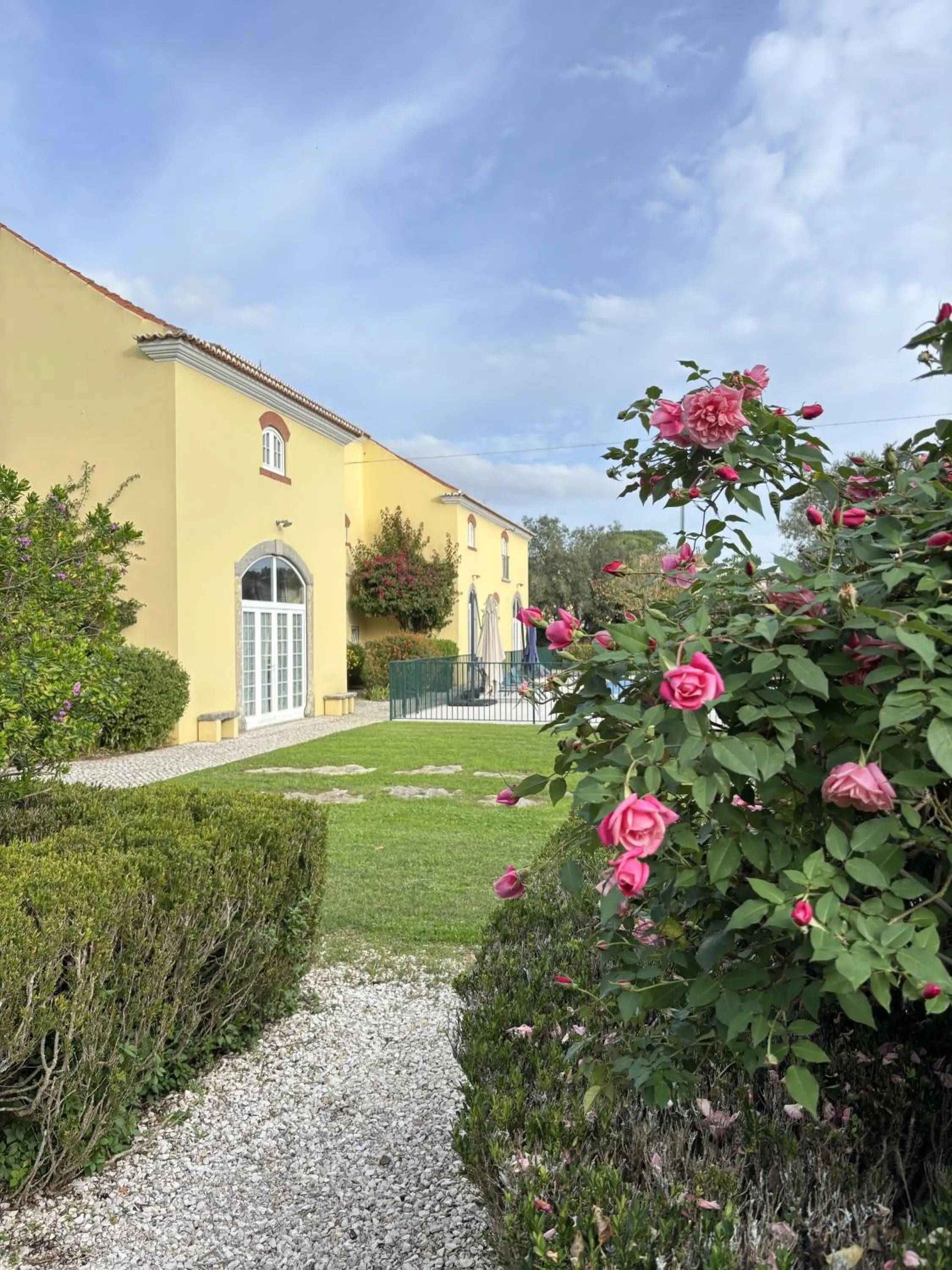 Garden view in Quinta Do Scoto