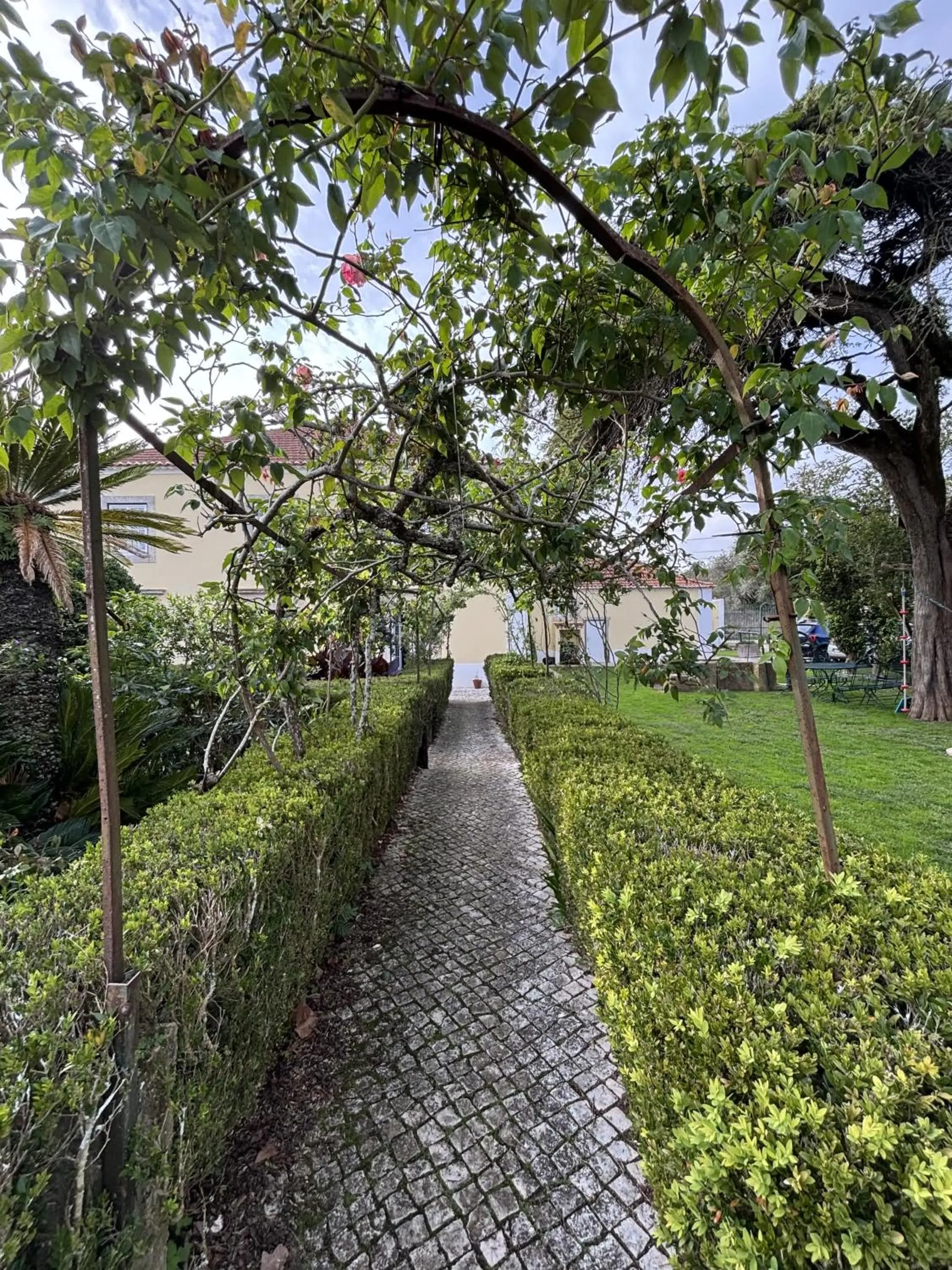 Garden view in Quinta Do Scoto