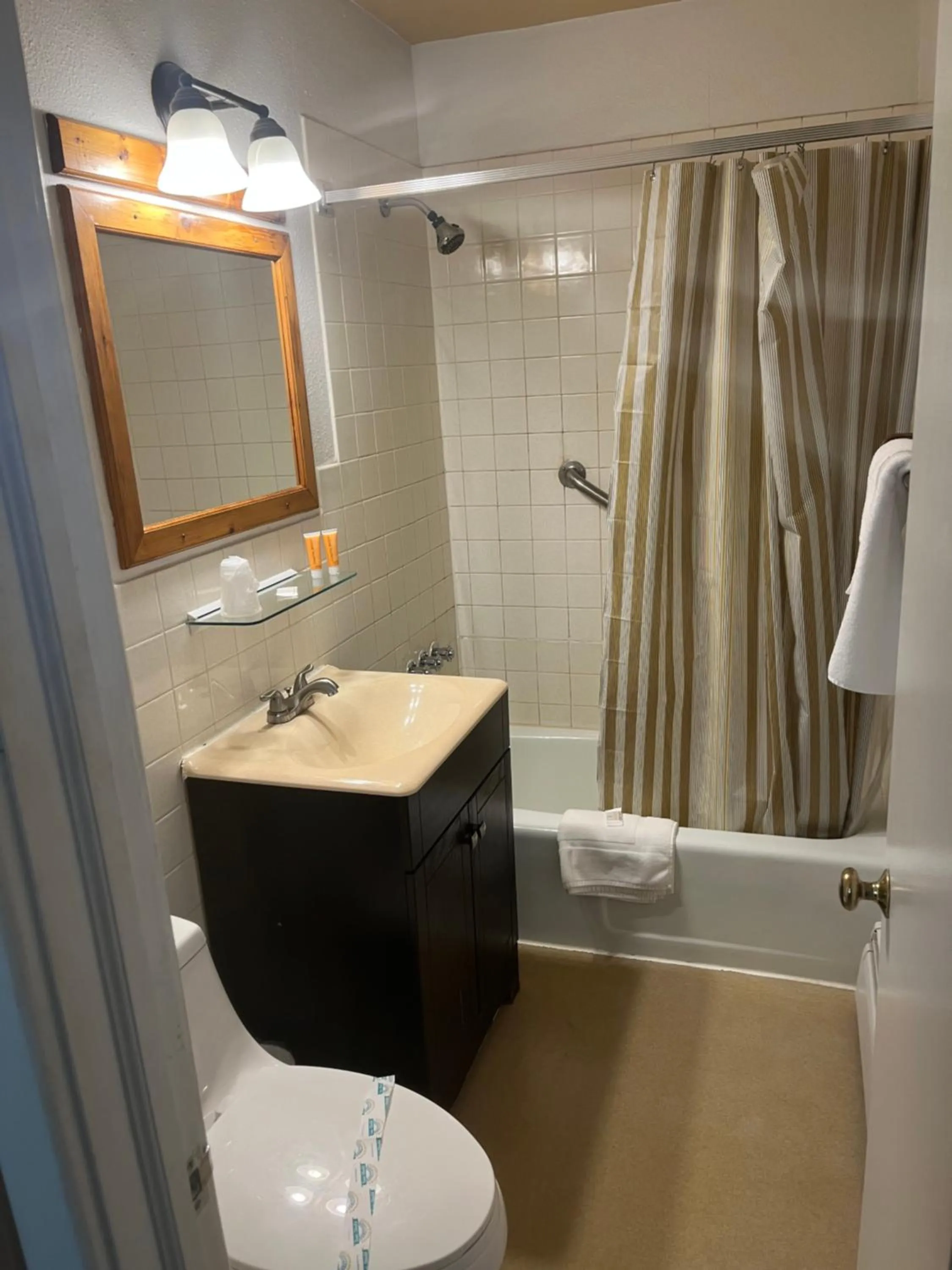 Buena Vista Inn Motel