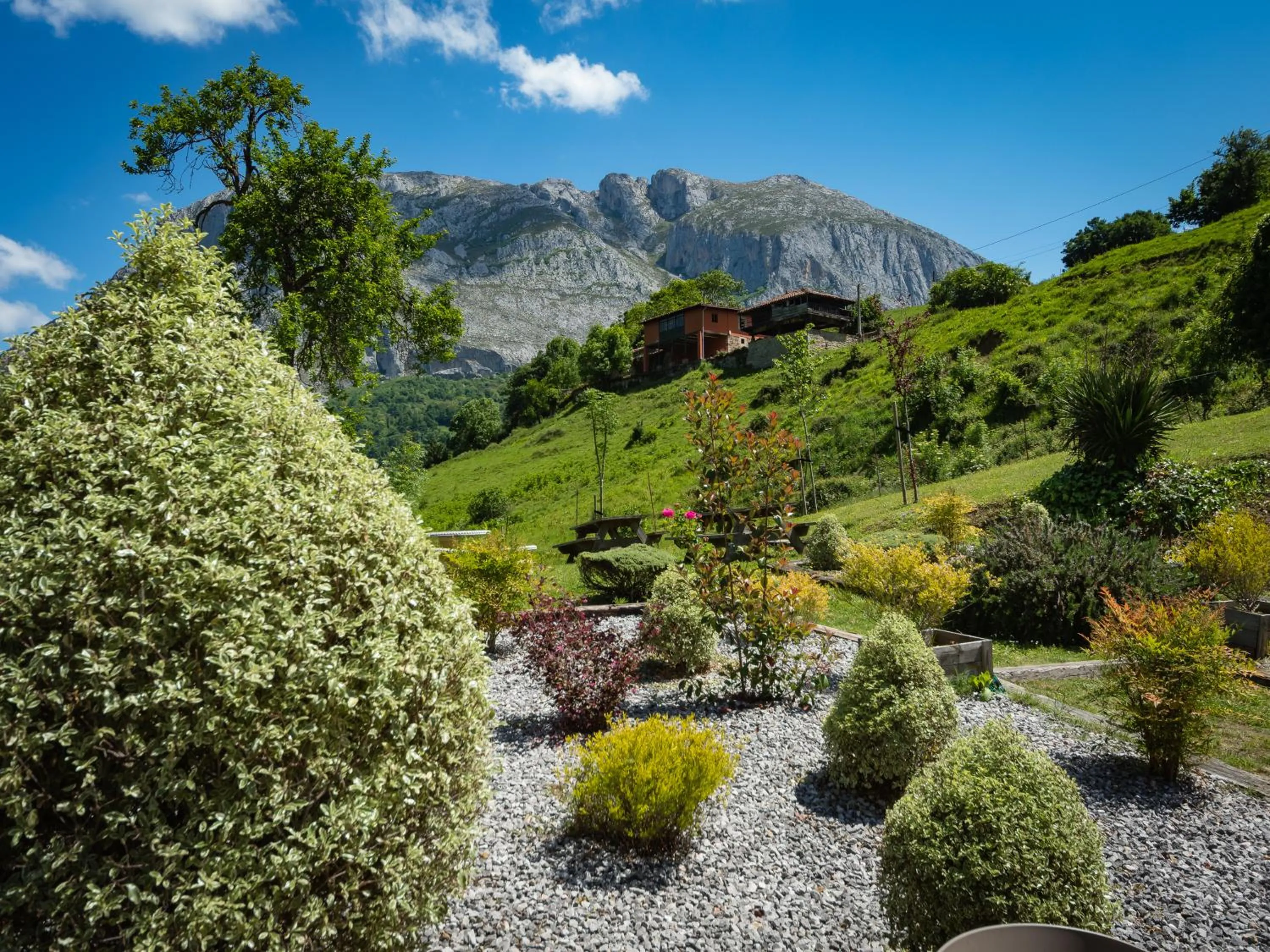 Garden in La Posta del Camín Real