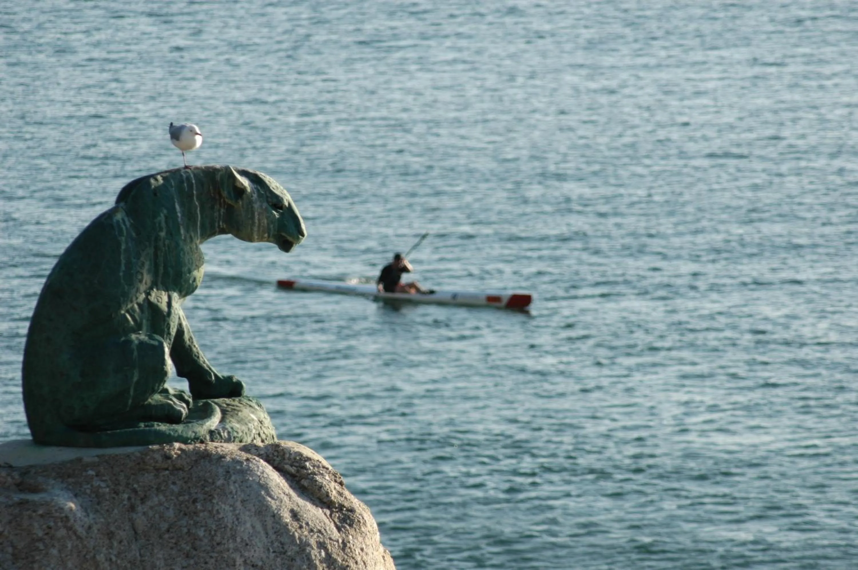 Canoeing in Chapmans Peak Beach Hotel