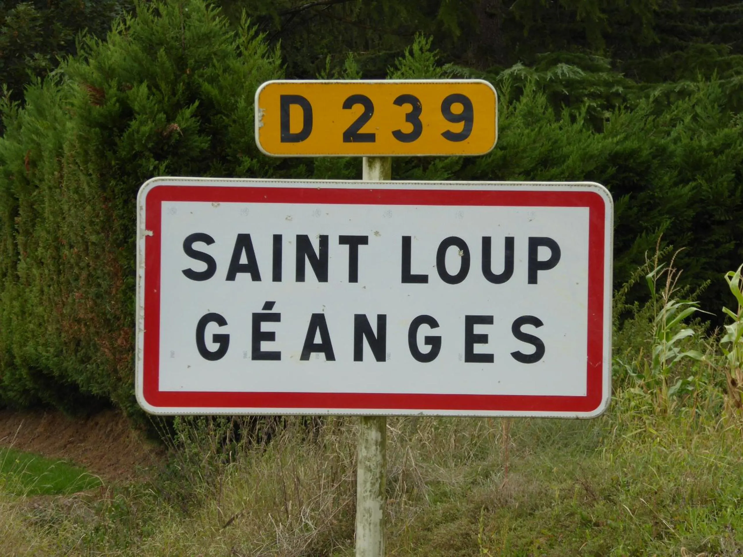 Natural landscape in La Loubertine