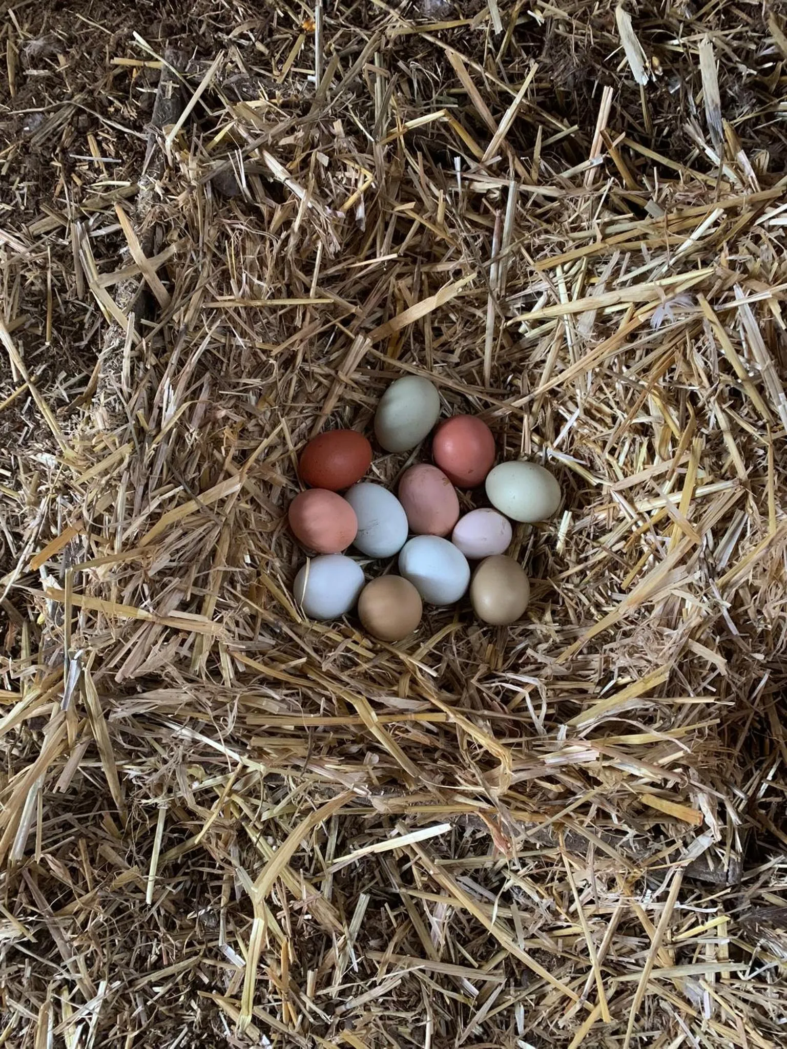 Property building in La Loubertine