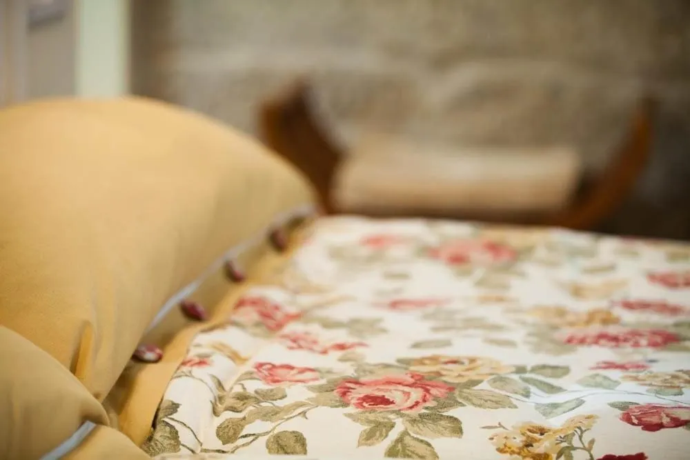 Photo of the whole room, Bed in Hotel Puerta Gamboa