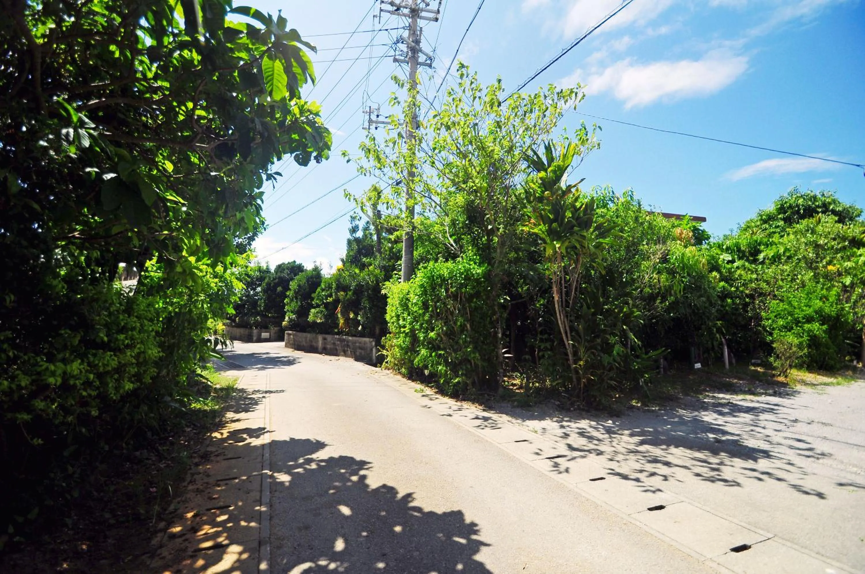 Neighbourhood in Makiya Tokusukeya