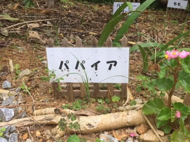 On site in Makiya Tokusukeya