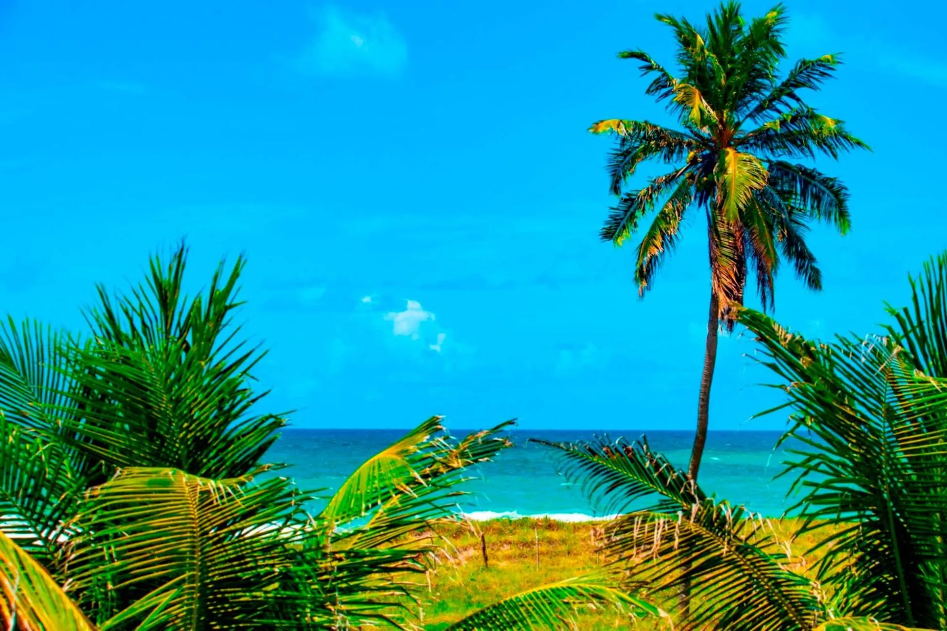 Natural landscape in Brisamar Hotel Pousada