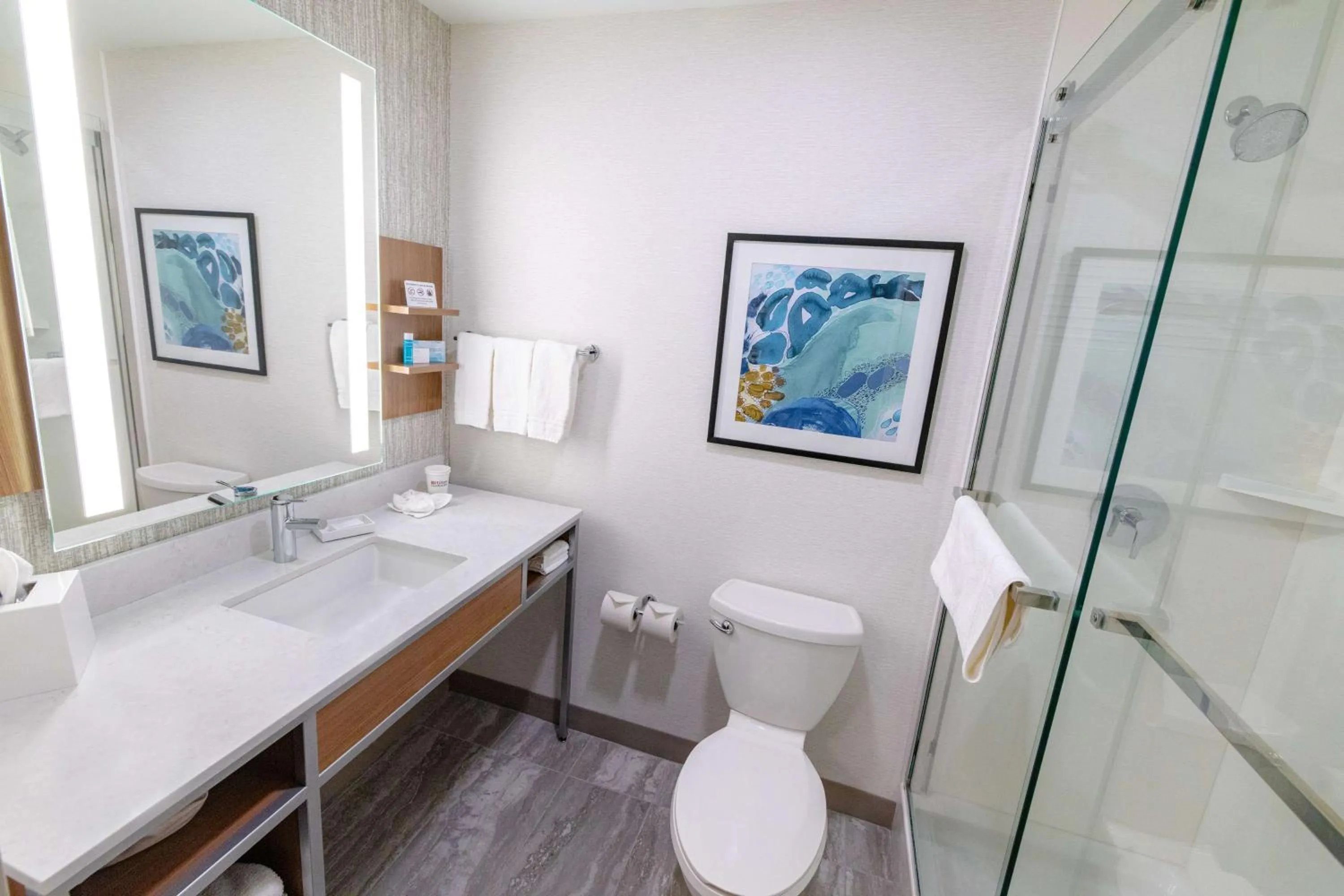 Bathroom in Hilton Garden Inn Lakewood