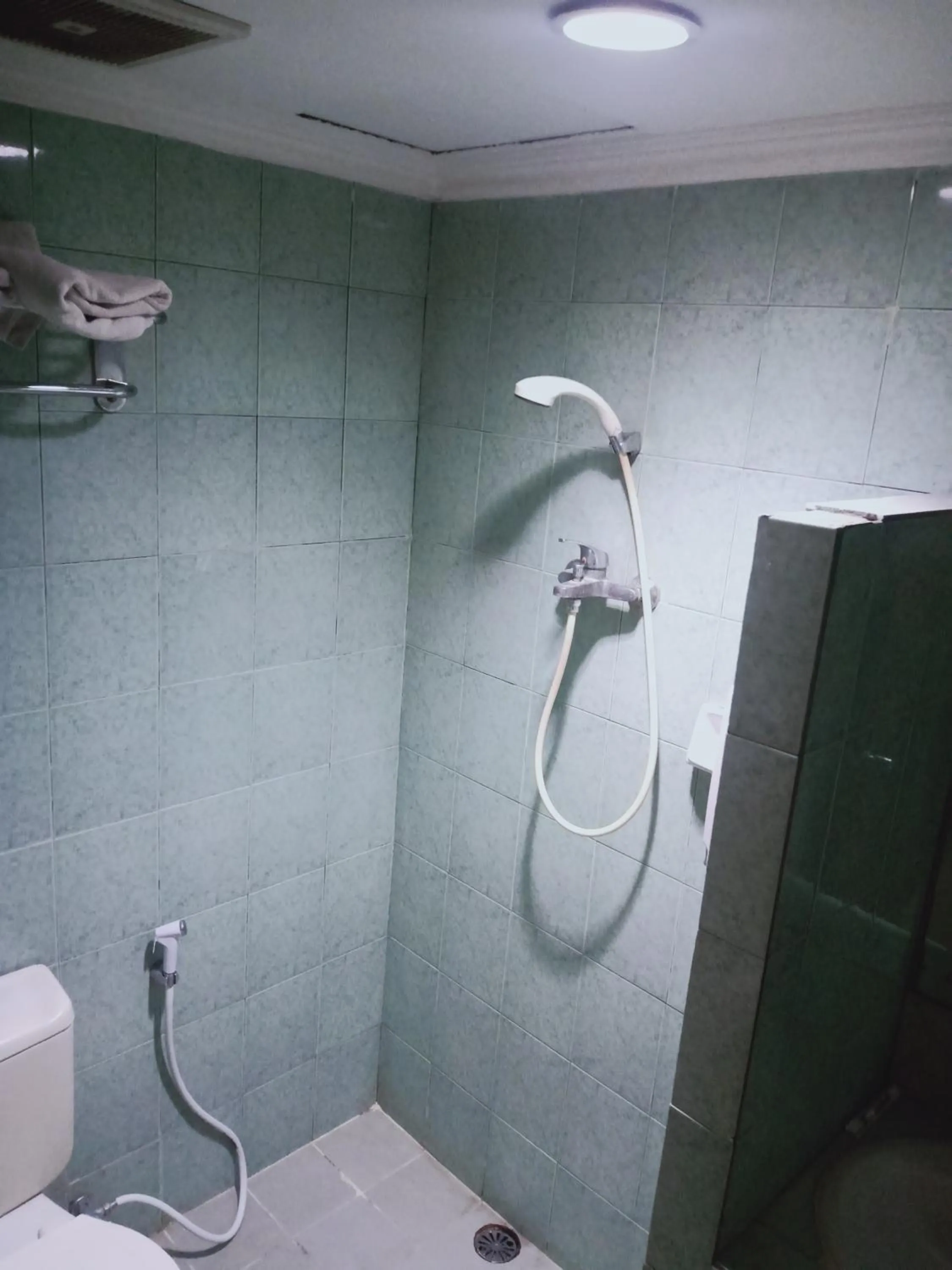 Shower in Puri Mega Hotel