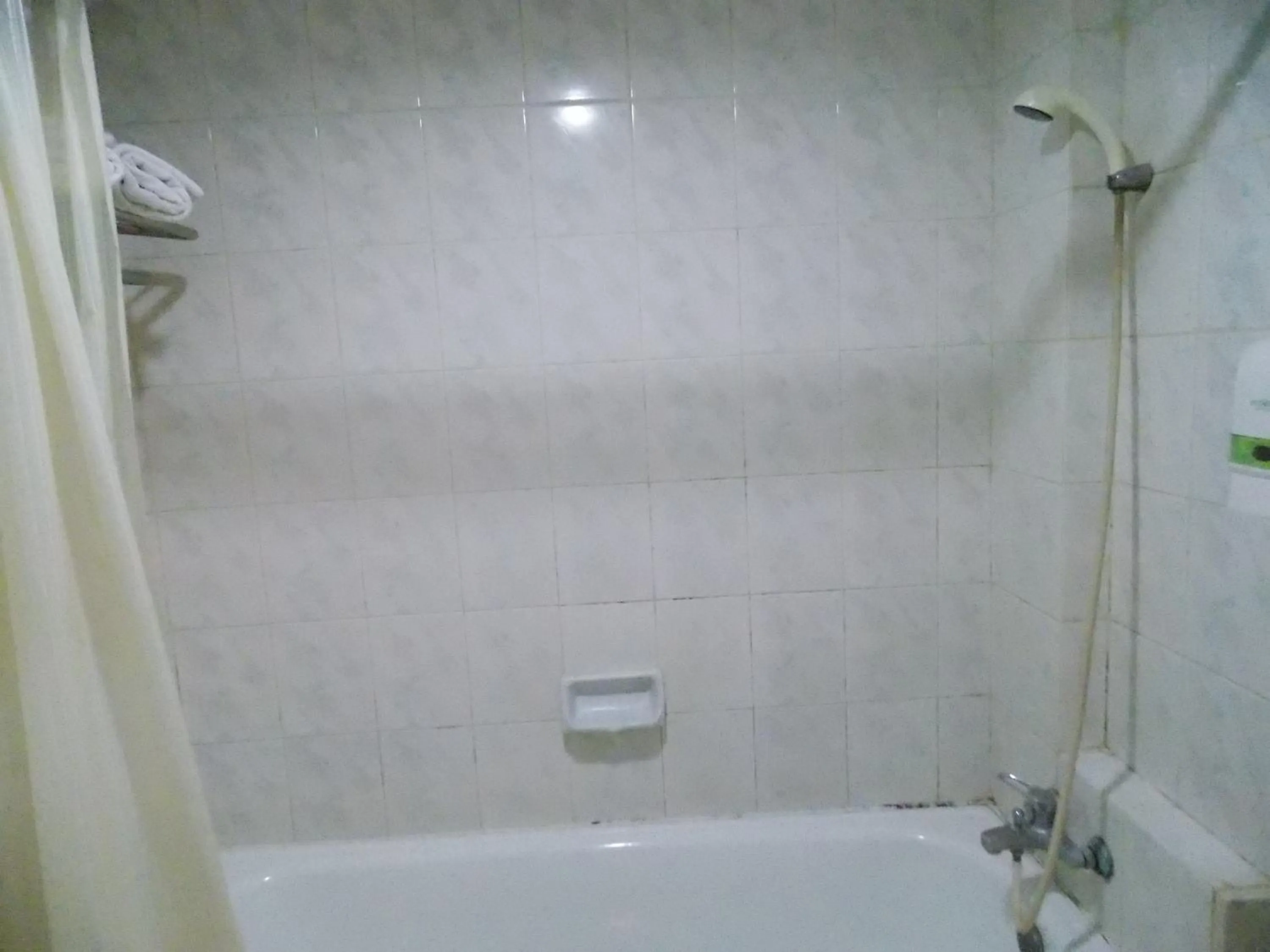 Bathroom in Puri Mega Hotel