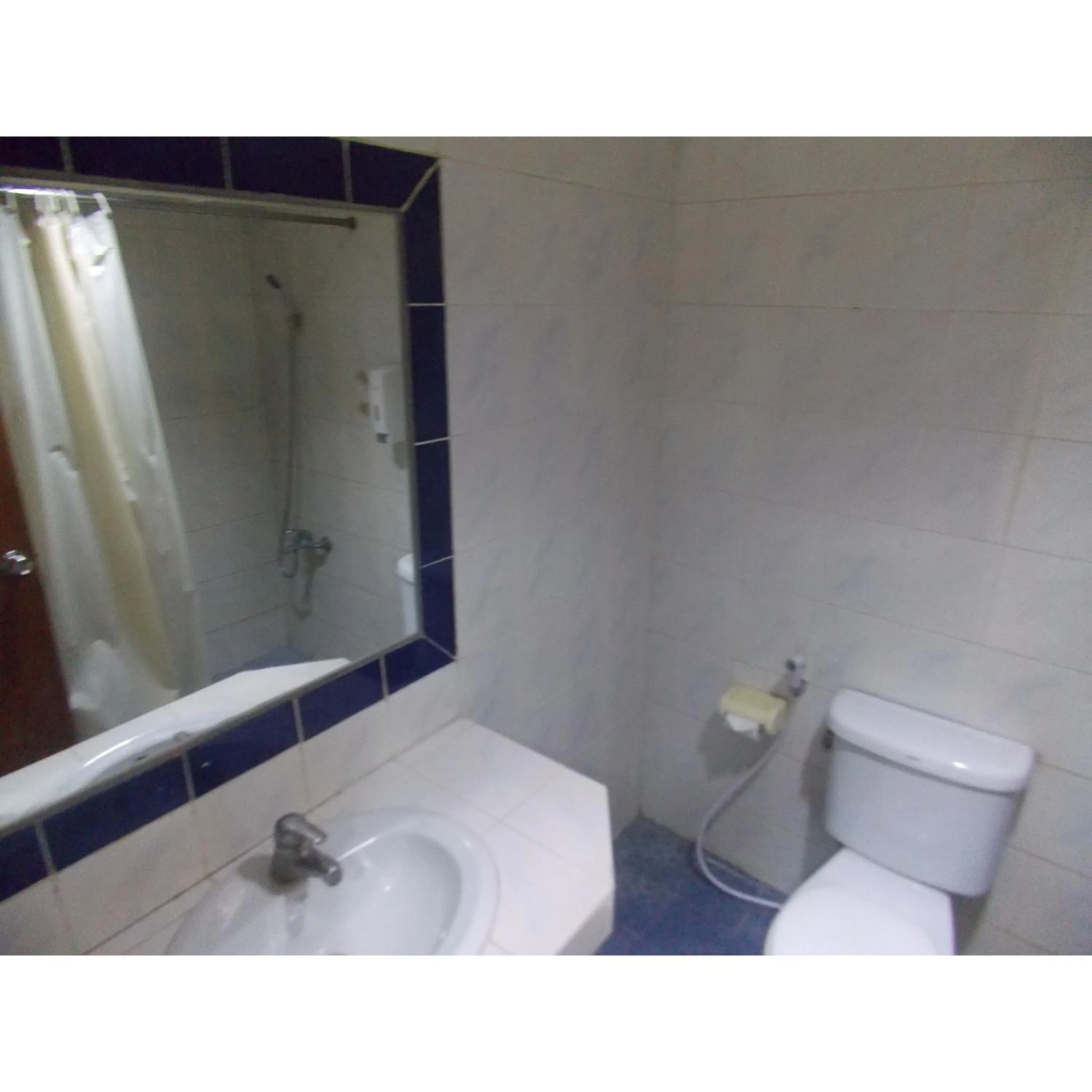 Toilet in Puri Jaya Hotel