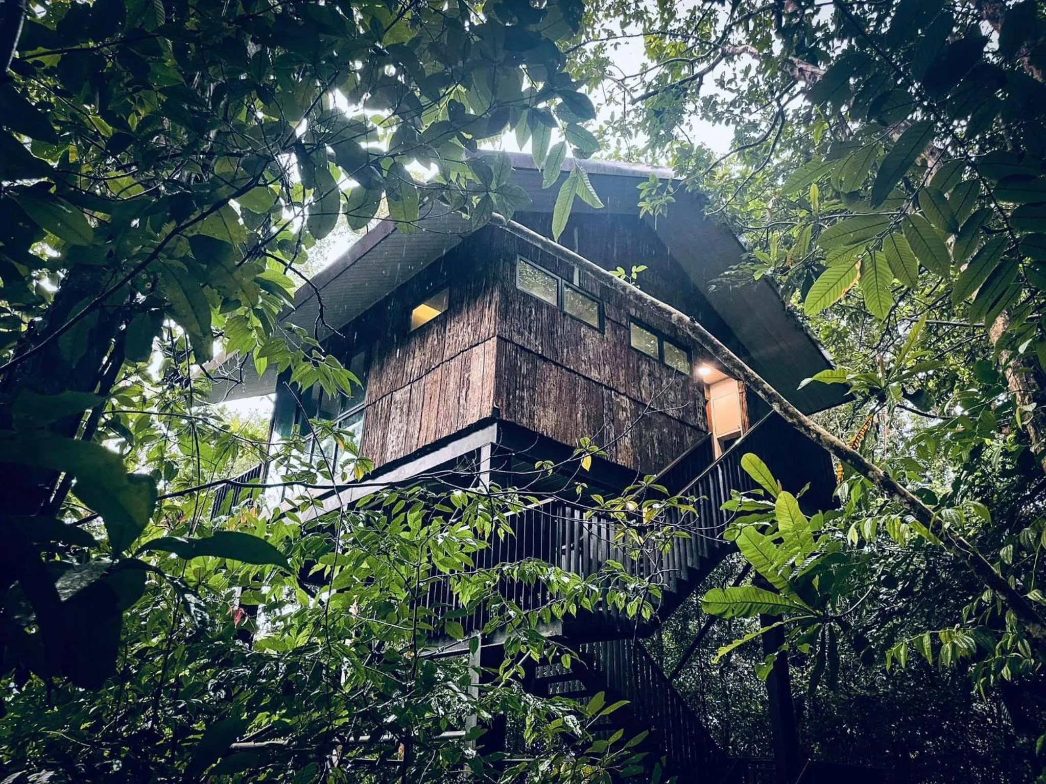 Permai Rainforest Resort