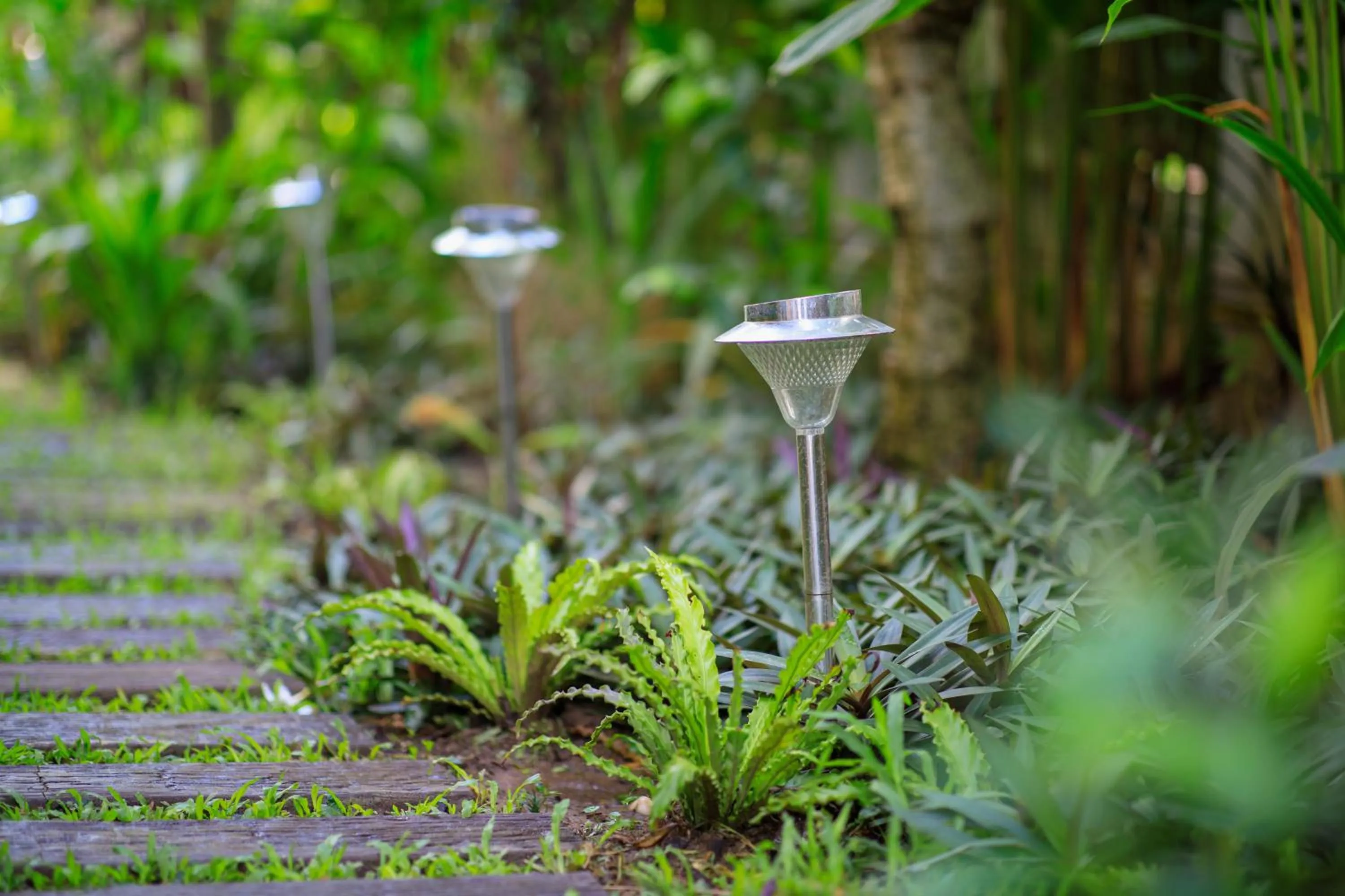 Vdara Pool Resort Spa Chiang Mai