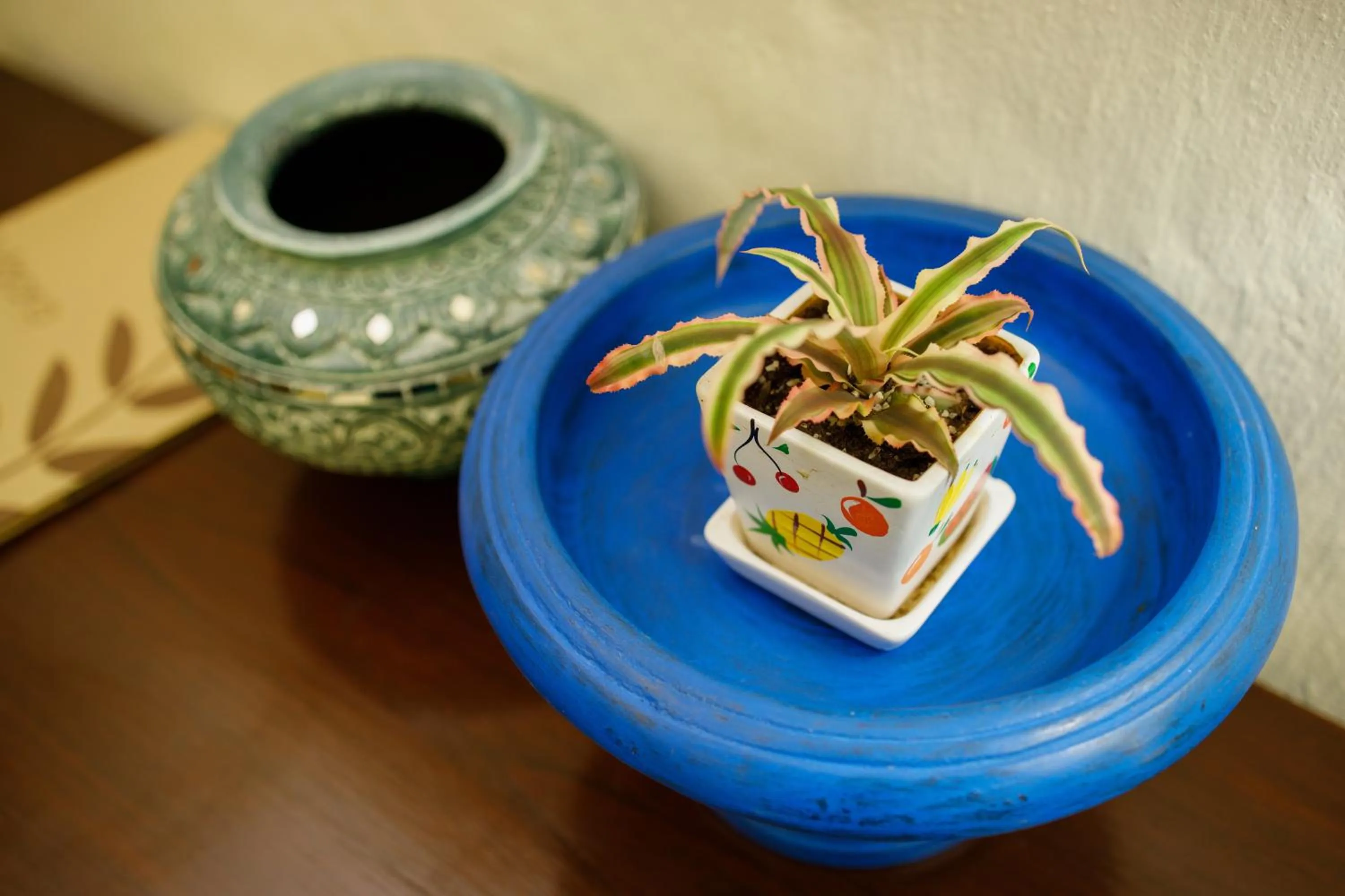 Vdara Pool Resort Spa Chiang Mai