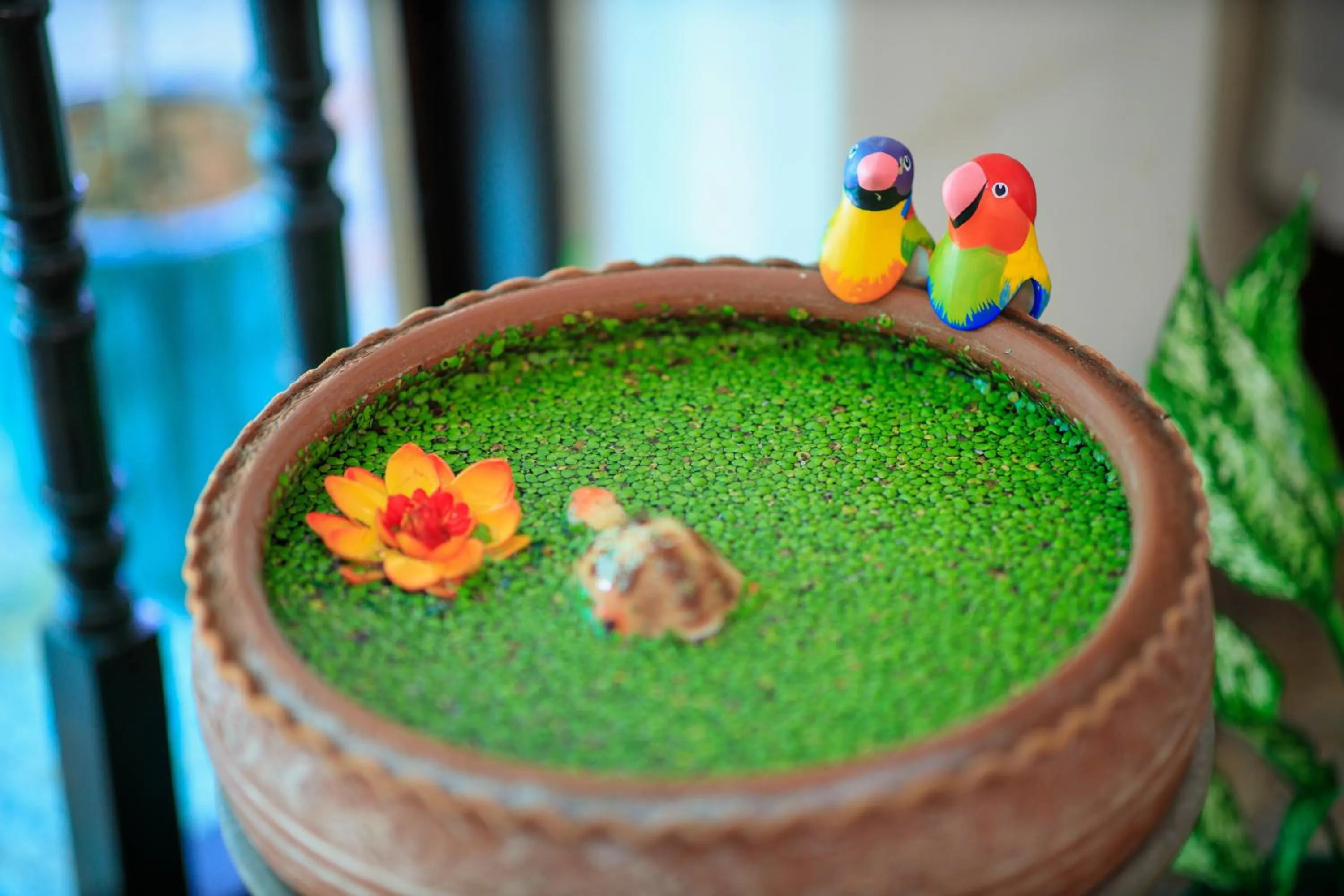 Vdara Pool Resort Spa Chiang Mai