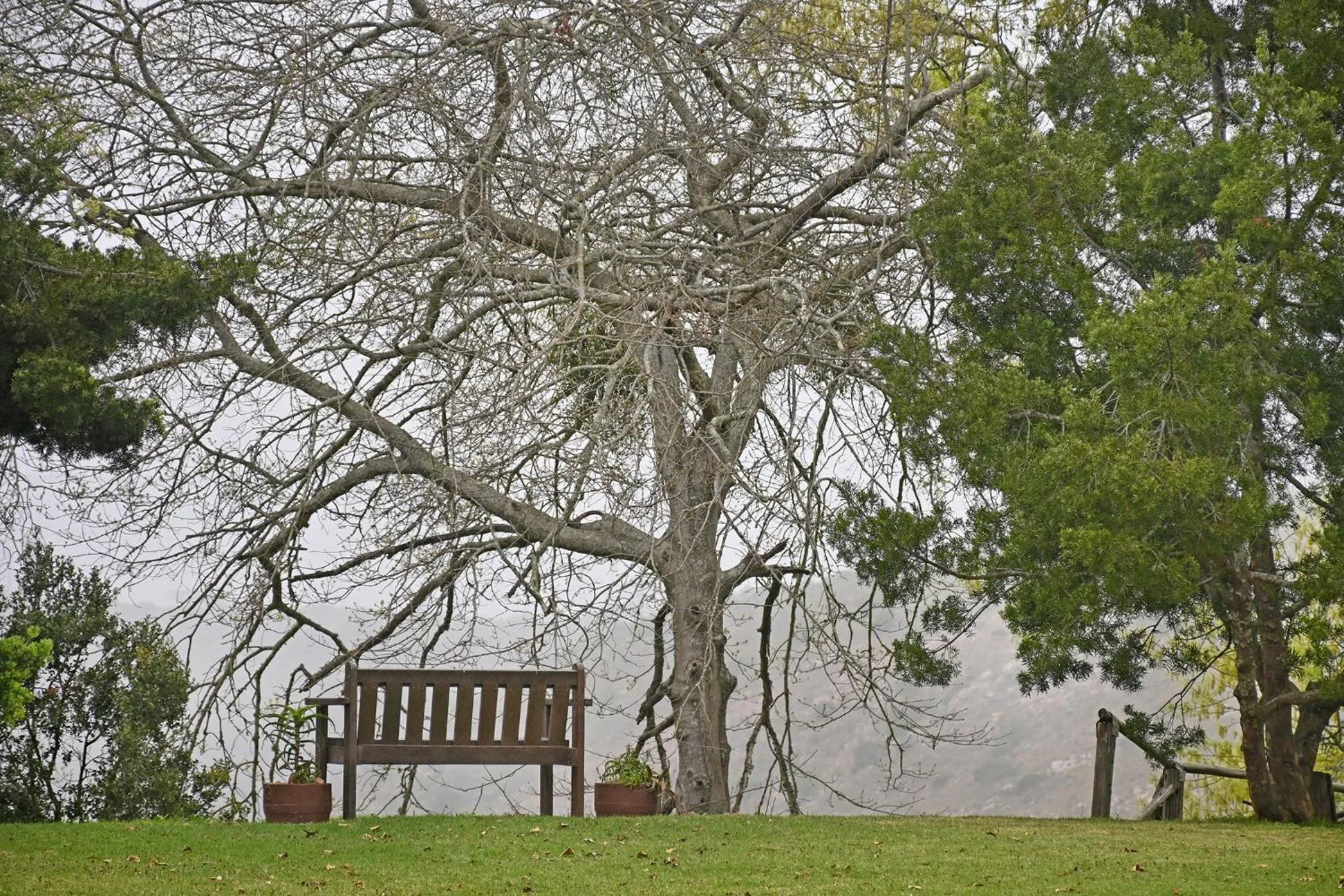 Natural landscape in Zuurberg Mountain Village