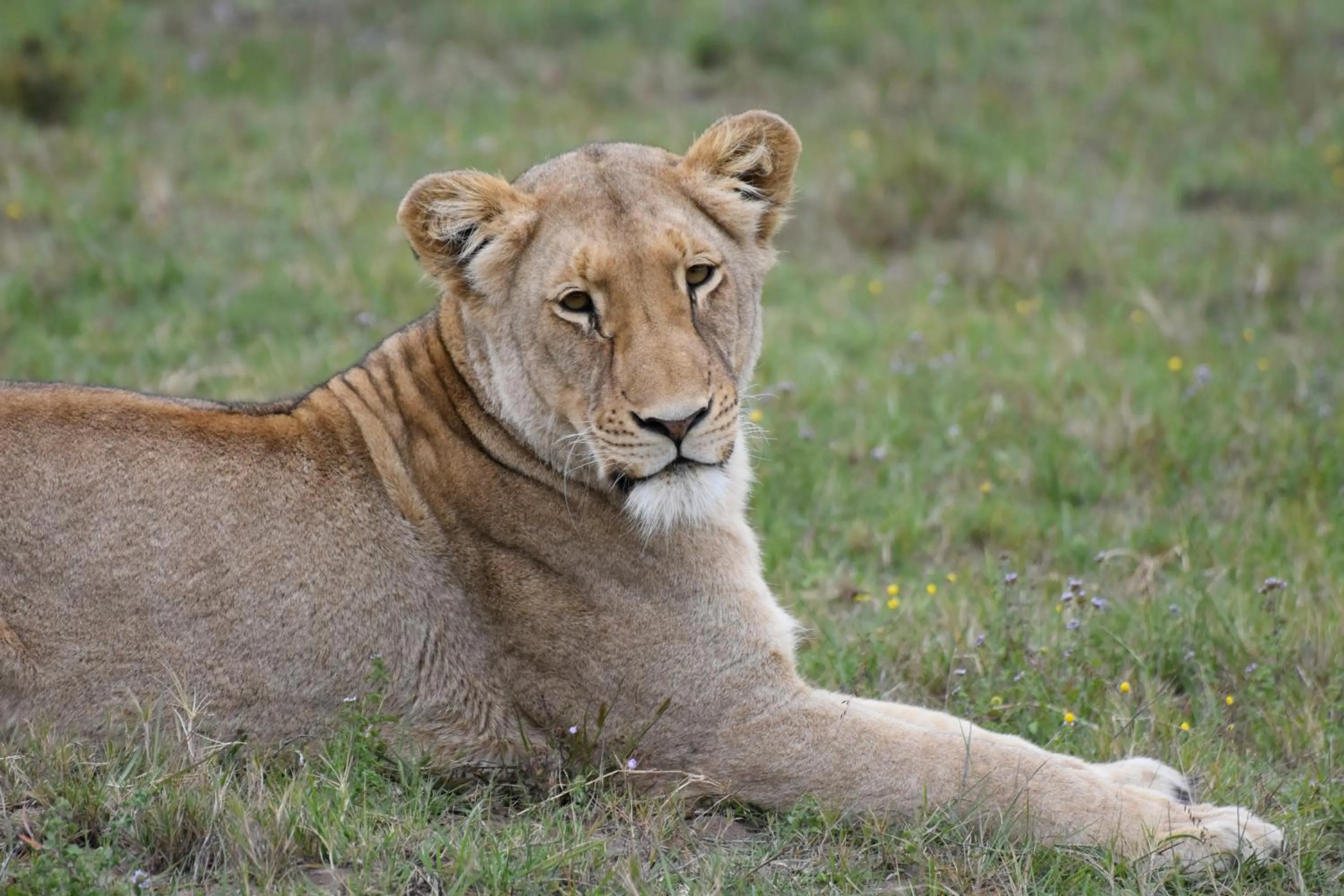 Natural landscape in Zuurberg Mountain Village