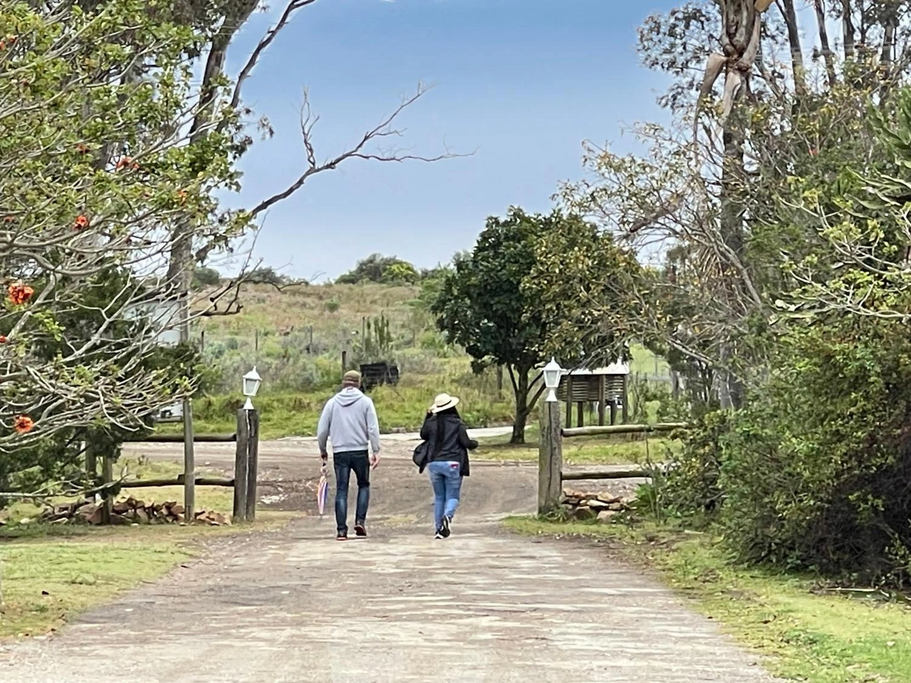 Spring in Zuurberg Mountain Village