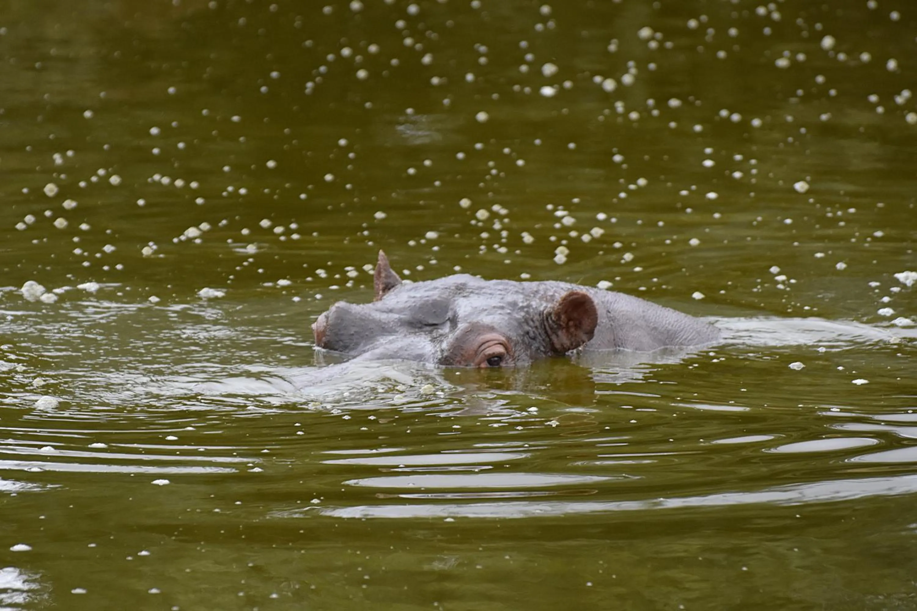 Natural landscape in Zuurberg Mountain Village