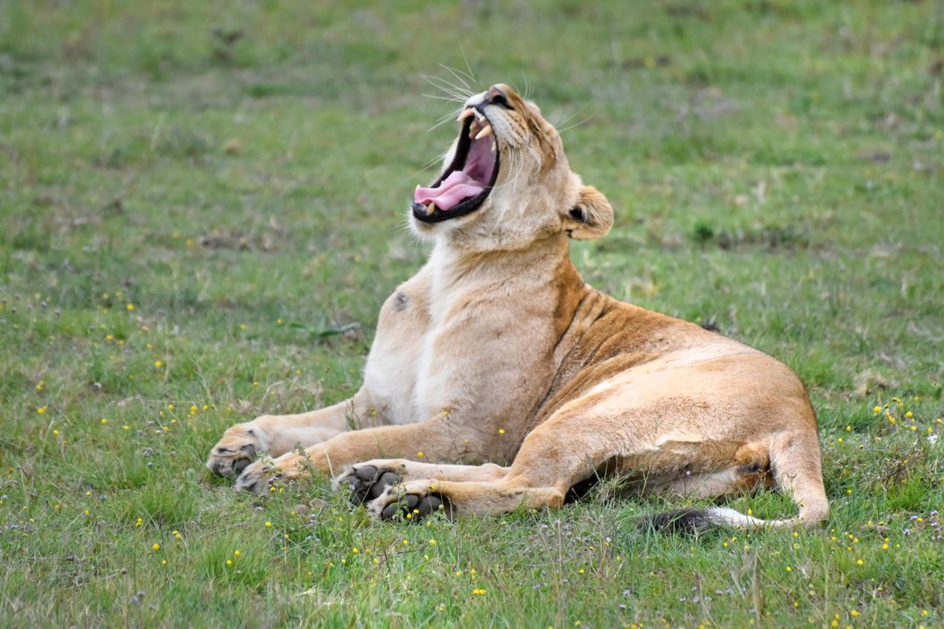 Natural landscape in Zuurberg Mountain Village