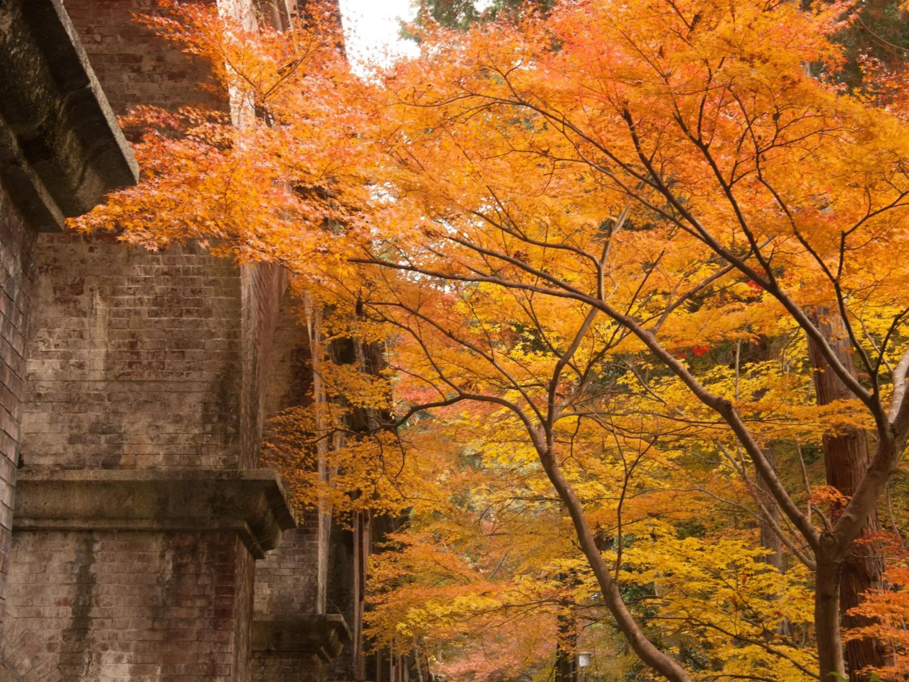 Nearby landmark in KOKO HOTEL Kyoto Shijo Karasuma - formerly Hotel Wing International Kyoto - Shijo Karasuma