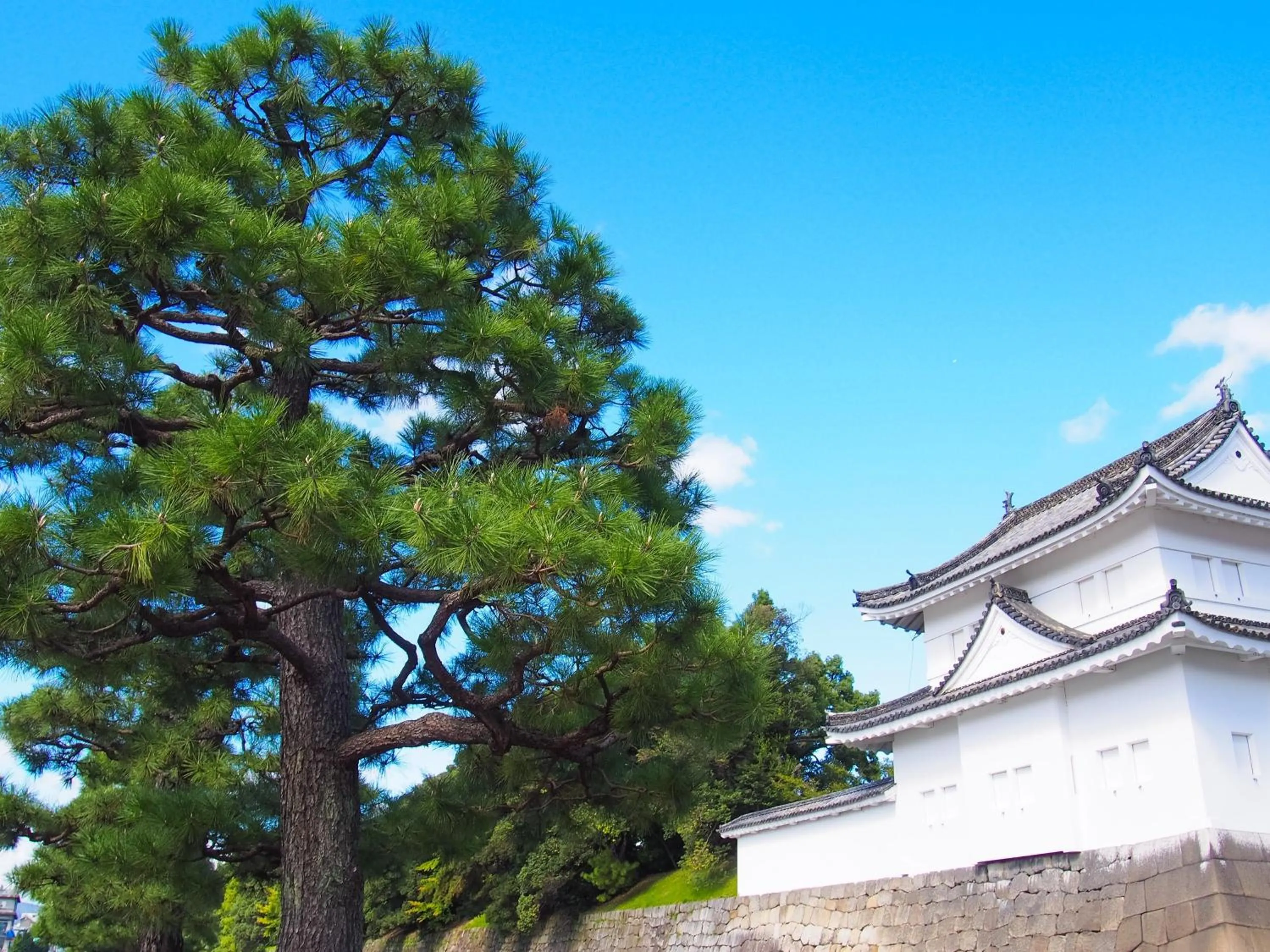 Nearby landmark in KOKO HOTEL Kyoto Shijo Karasuma - formerly Hotel Wing International Kyoto - Shijo Karasuma
