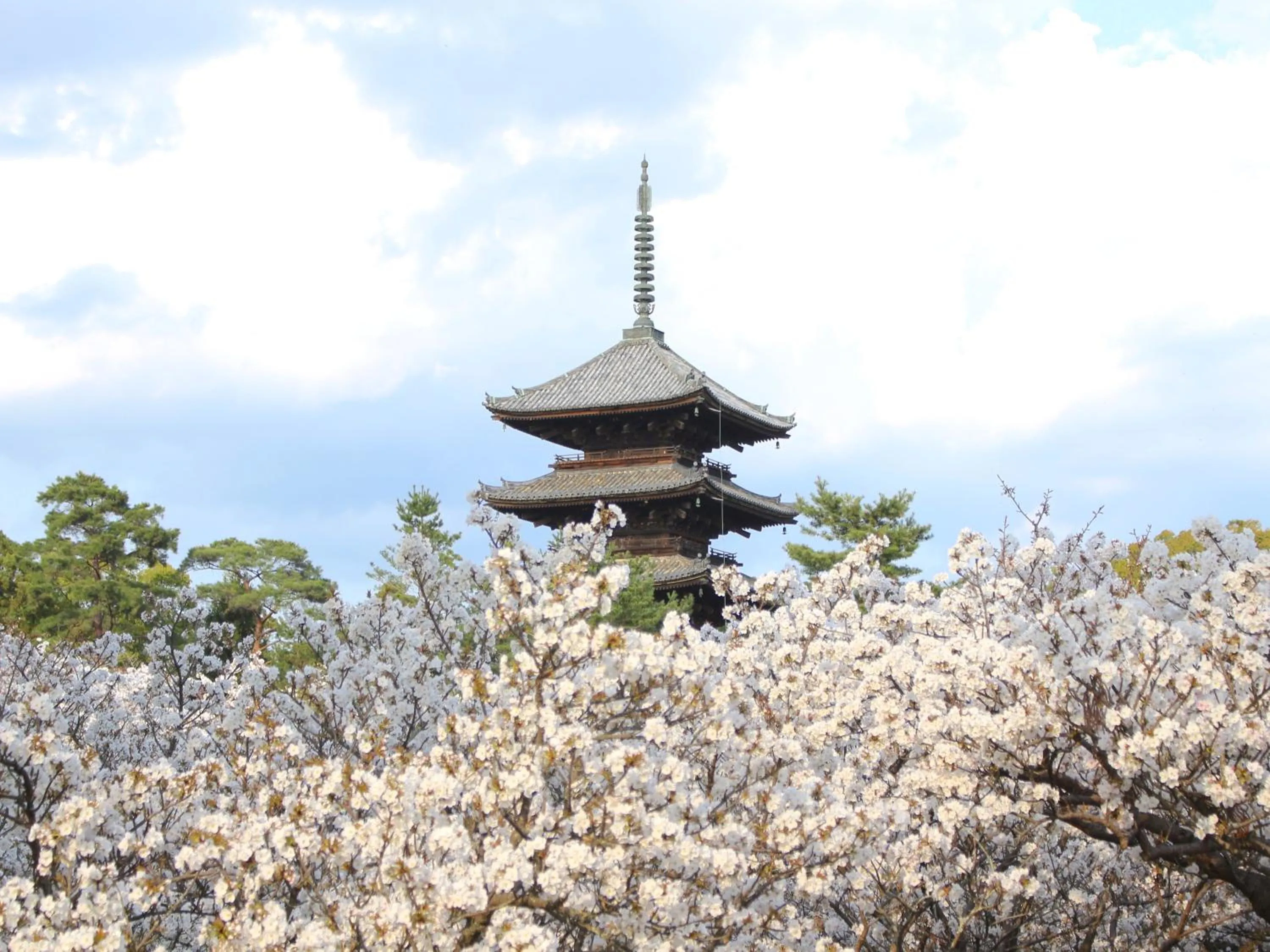 Nearby landmark in KOKO HOTEL Kyoto Shijo Karasuma - formerly Hotel Wing International Kyoto - Shijo Karasuma