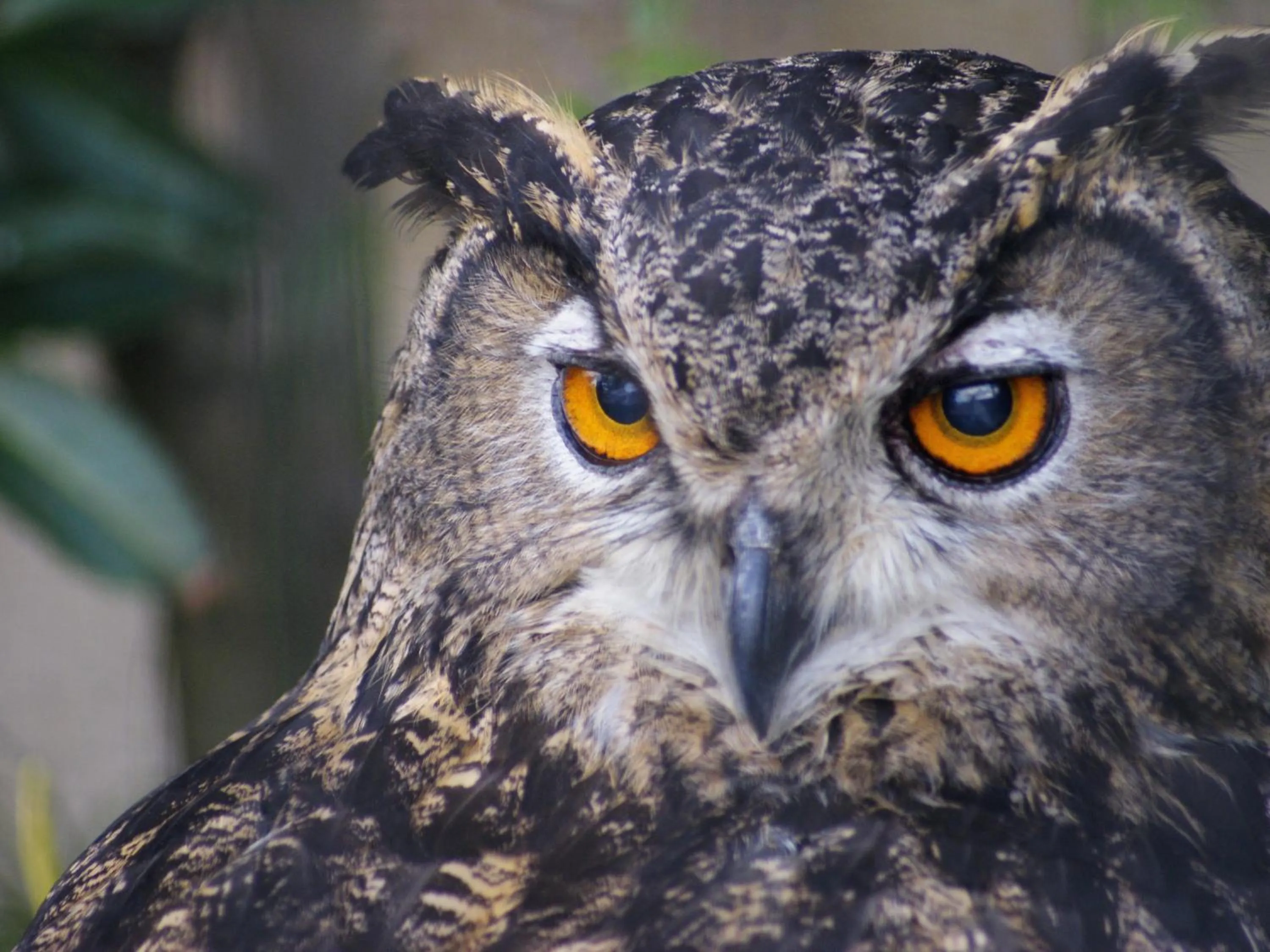 Nearby landmark in KOKO HOTEL Kyoto Shijo Karasuma - formerly Hotel Wing International Kyoto - Shijo Karasuma