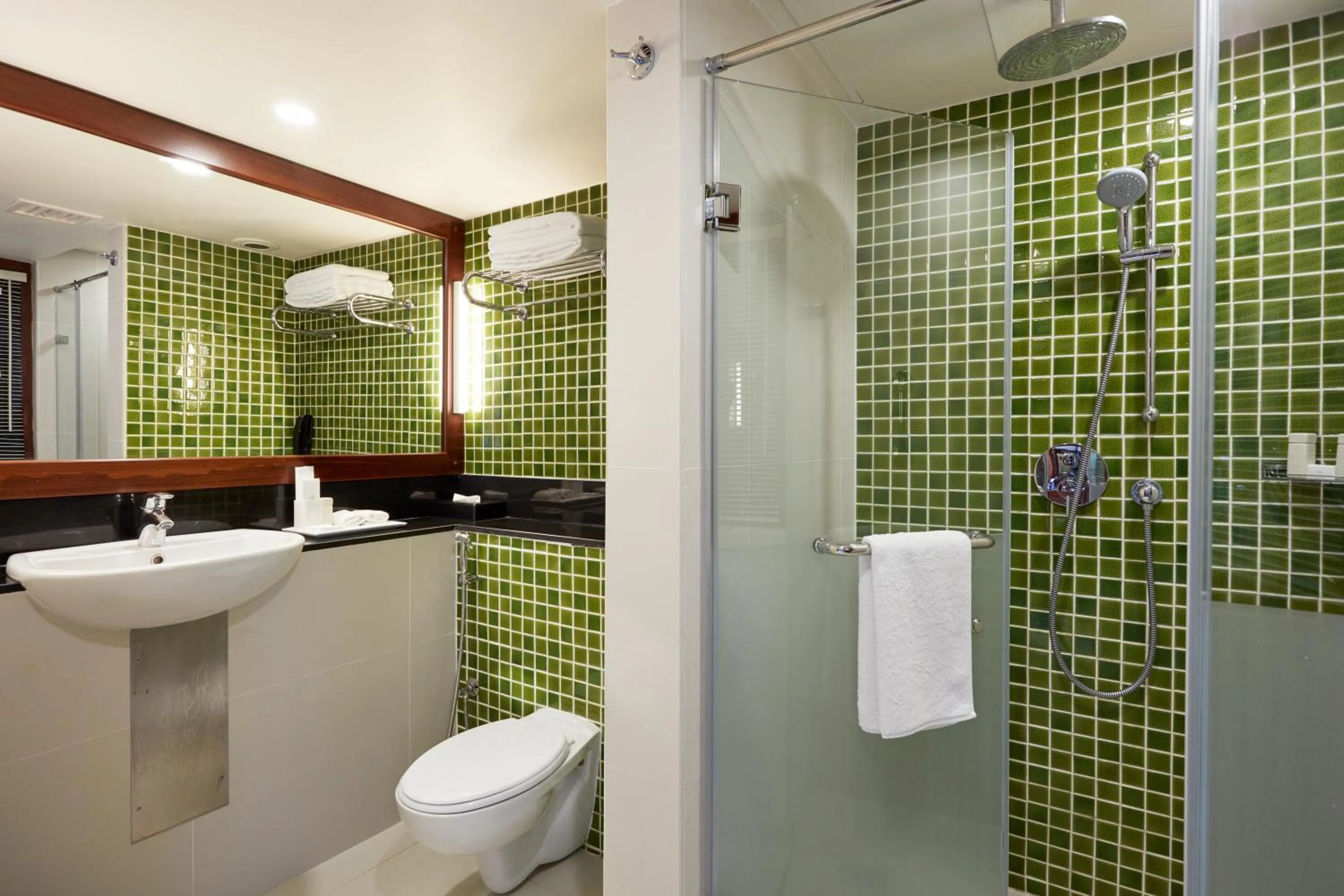 Bathroom in Heritance Ahungalla