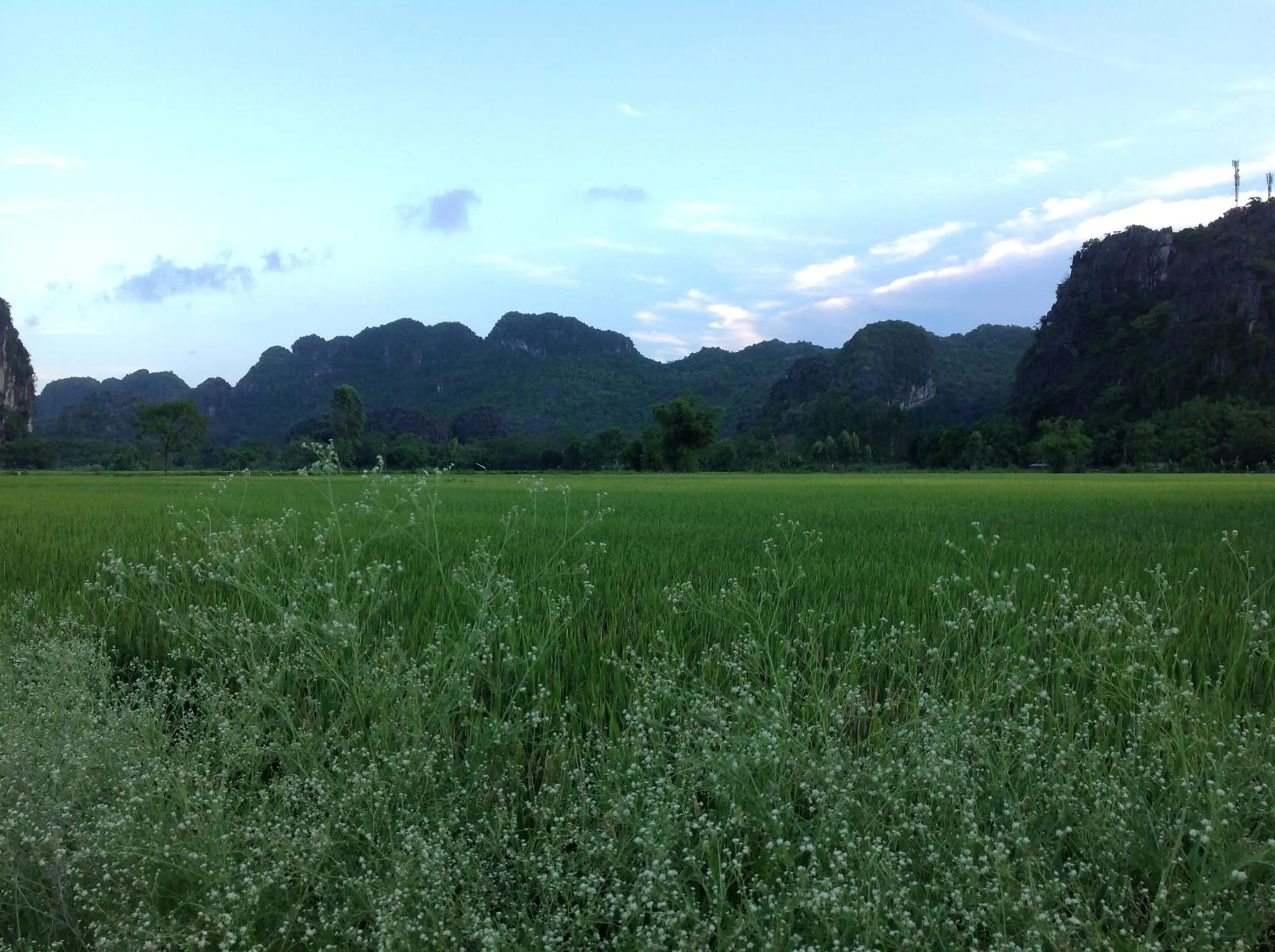 Natural landscape in Tam Coc Eco House