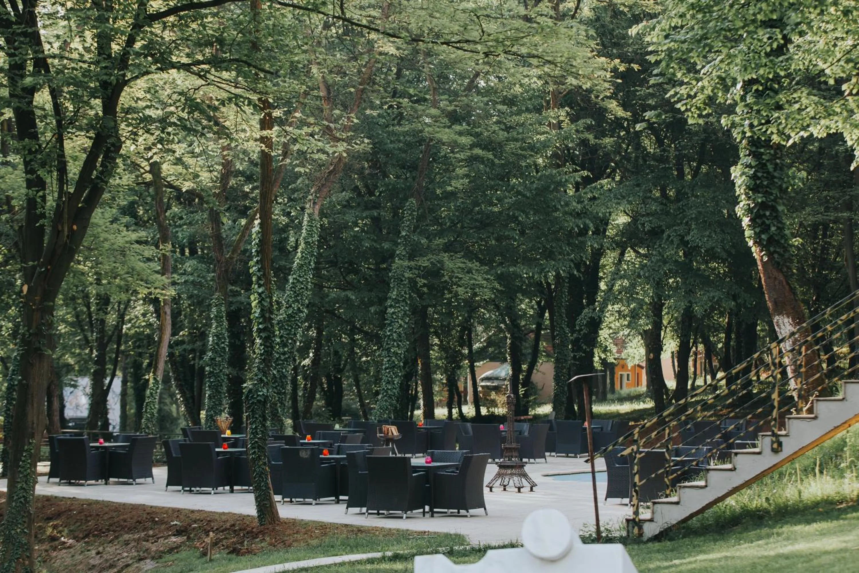 Garden view in Arsenal Park Transilvania