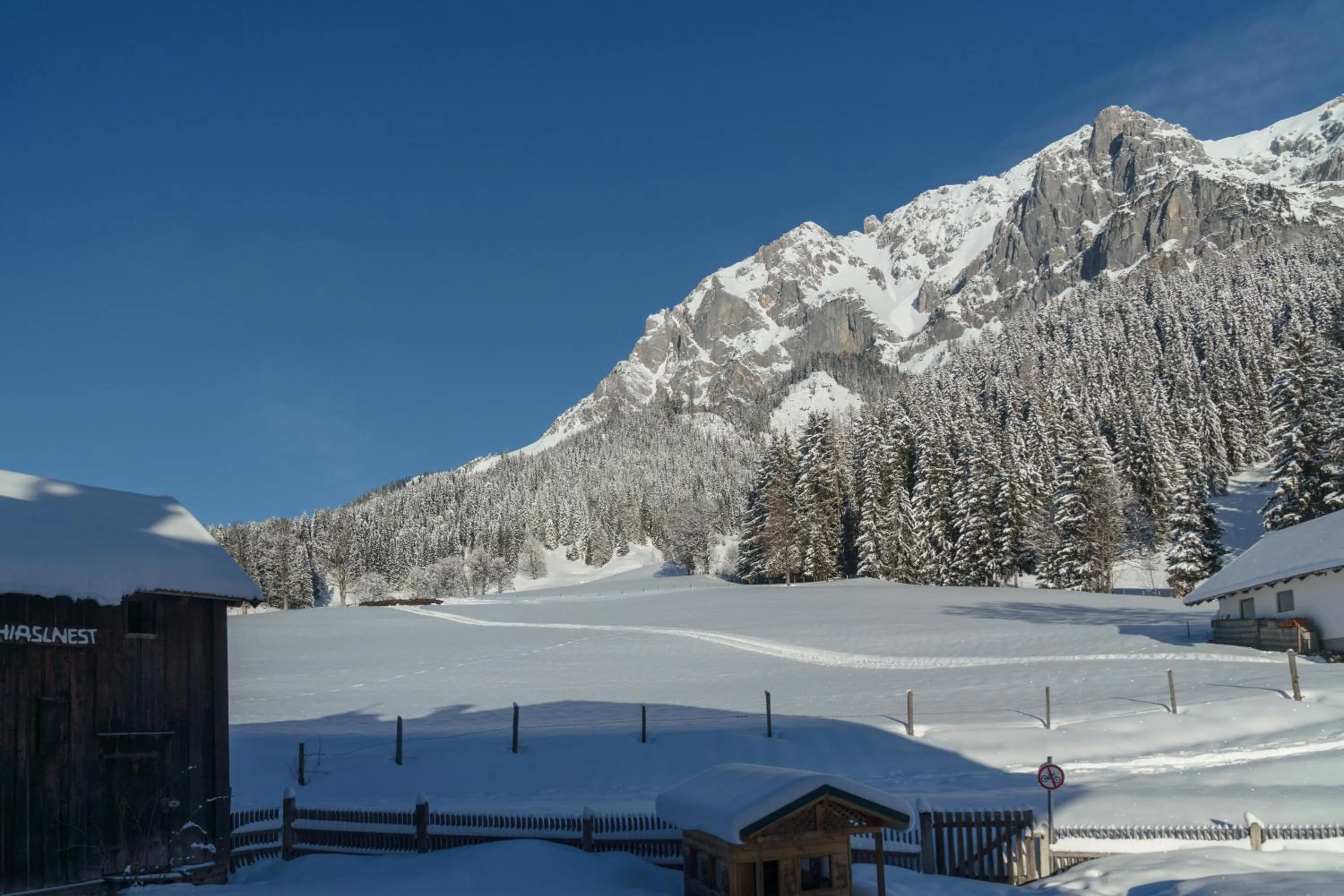 Day in Hotel Ramsauhof Pool & Wellness Breakfast & Light Dinner Buffet