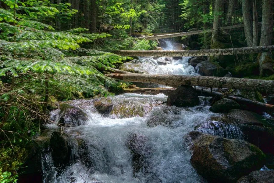 Area and facilities in Hotel Lo Paller