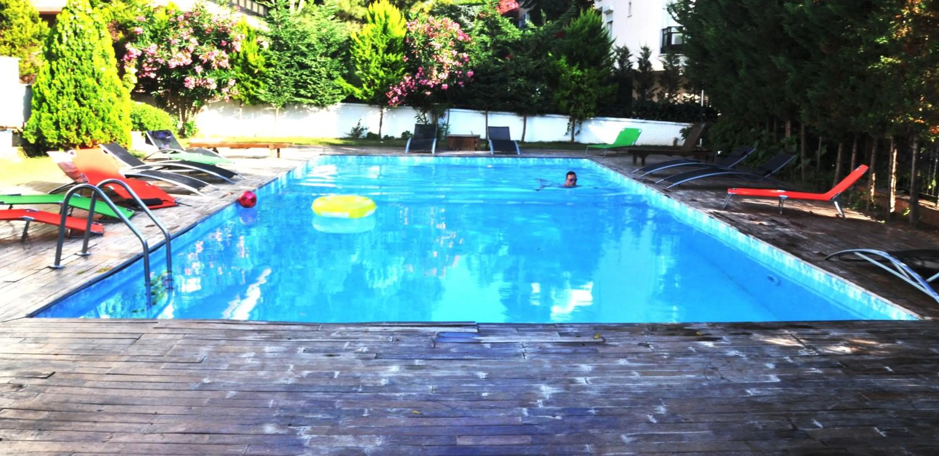 Garden in dragos island hotel