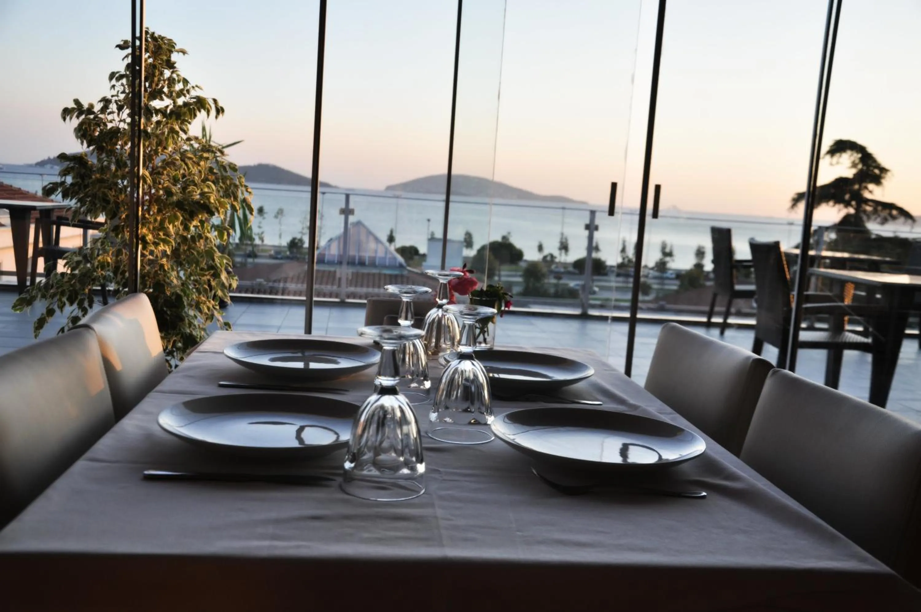 Restaurant/places to eat in dragos island hotel