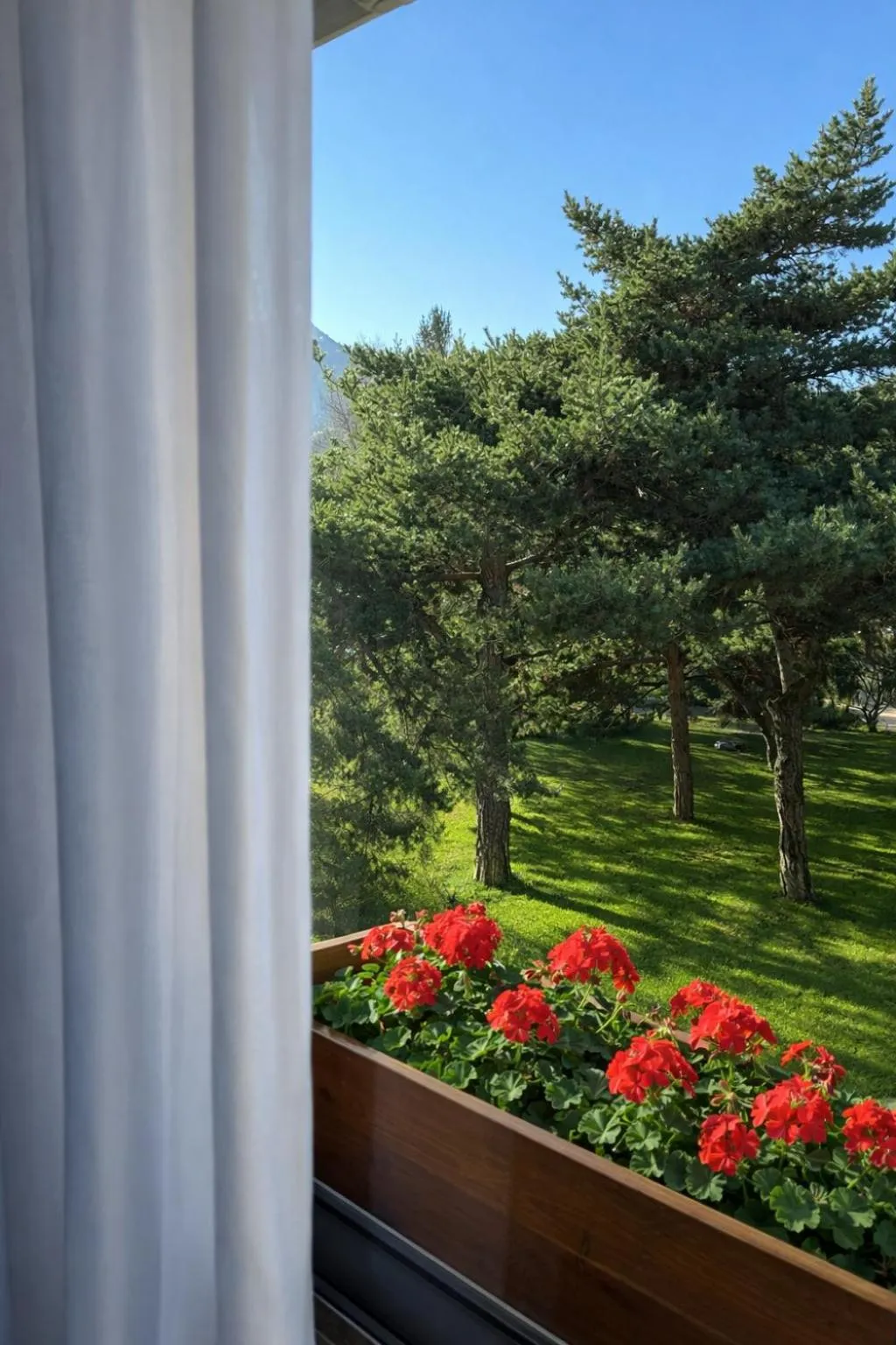 Garden in Logis Hotel Le Lac