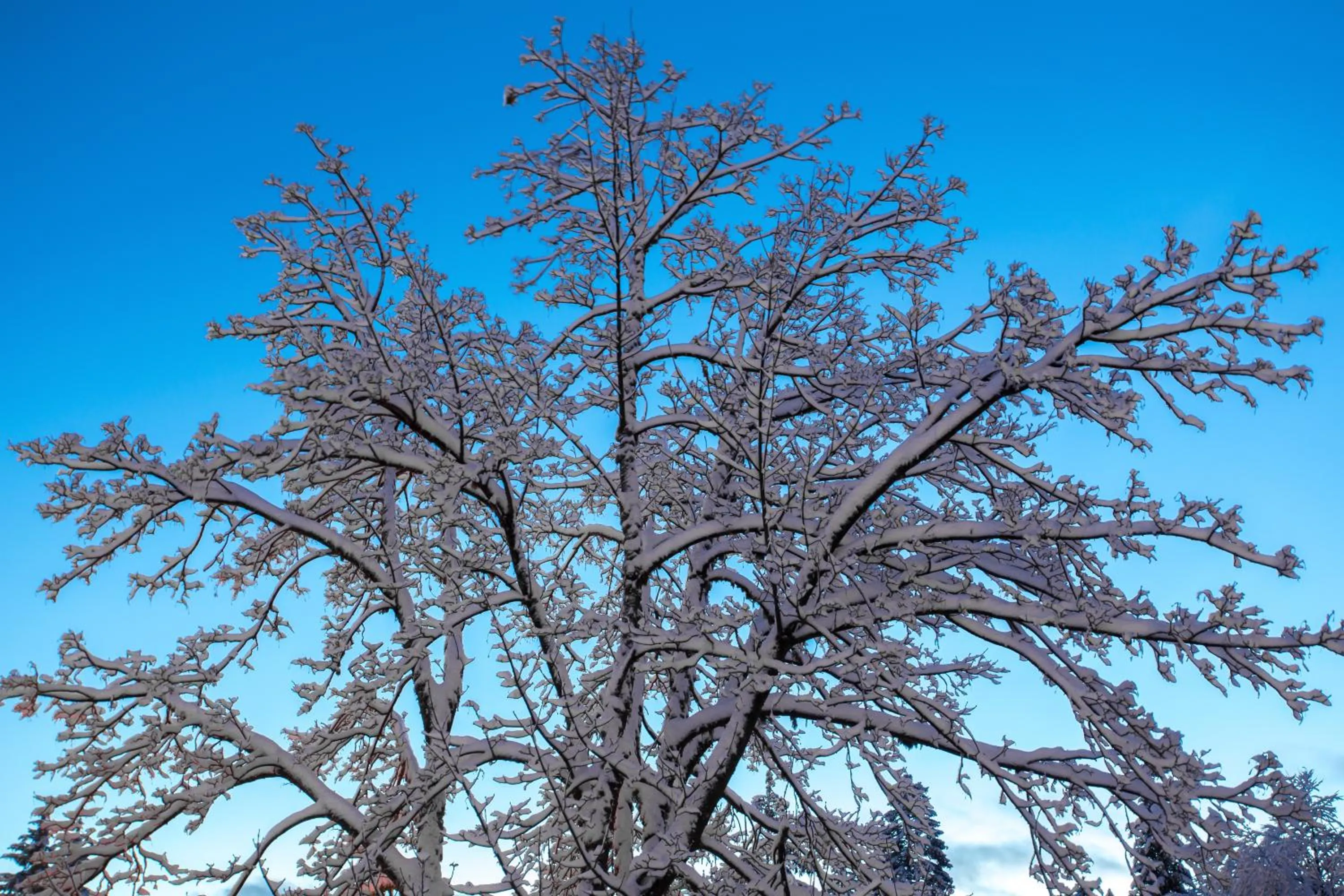 Natural landscape in Hotel Zodiaco & Spa