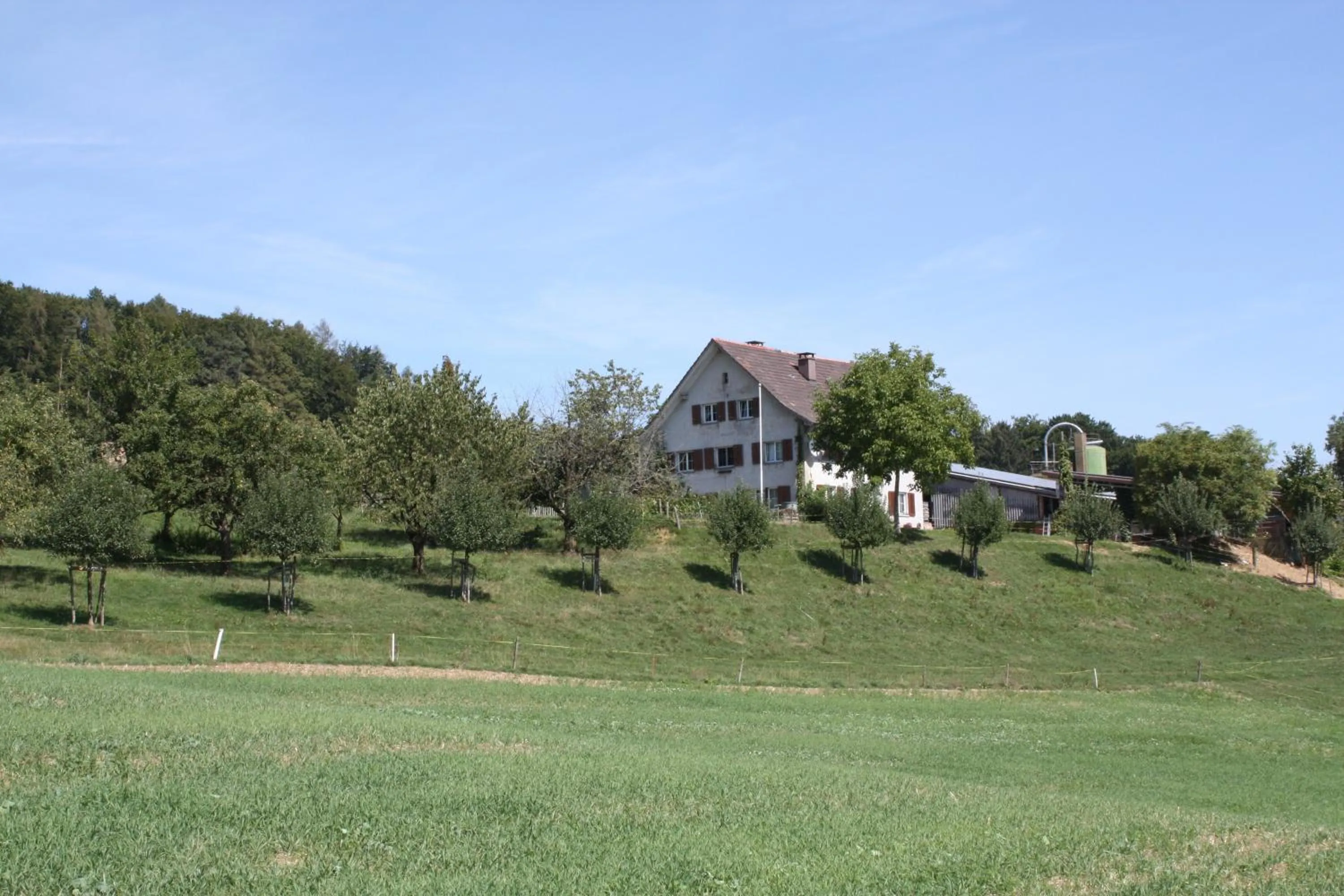 Property building in BnB im Waldhof