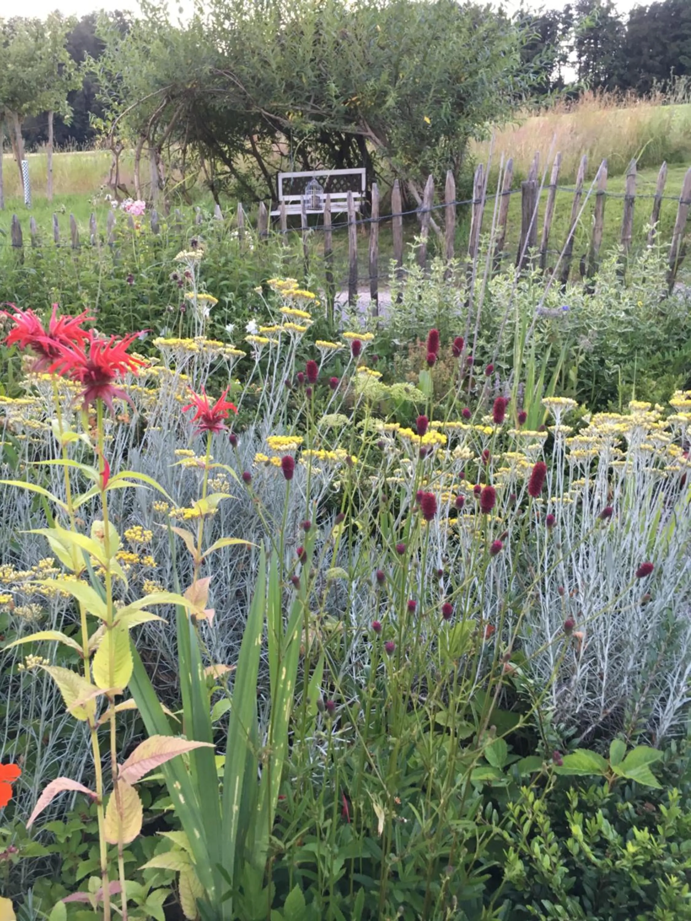Garden in BnB im Waldhof
