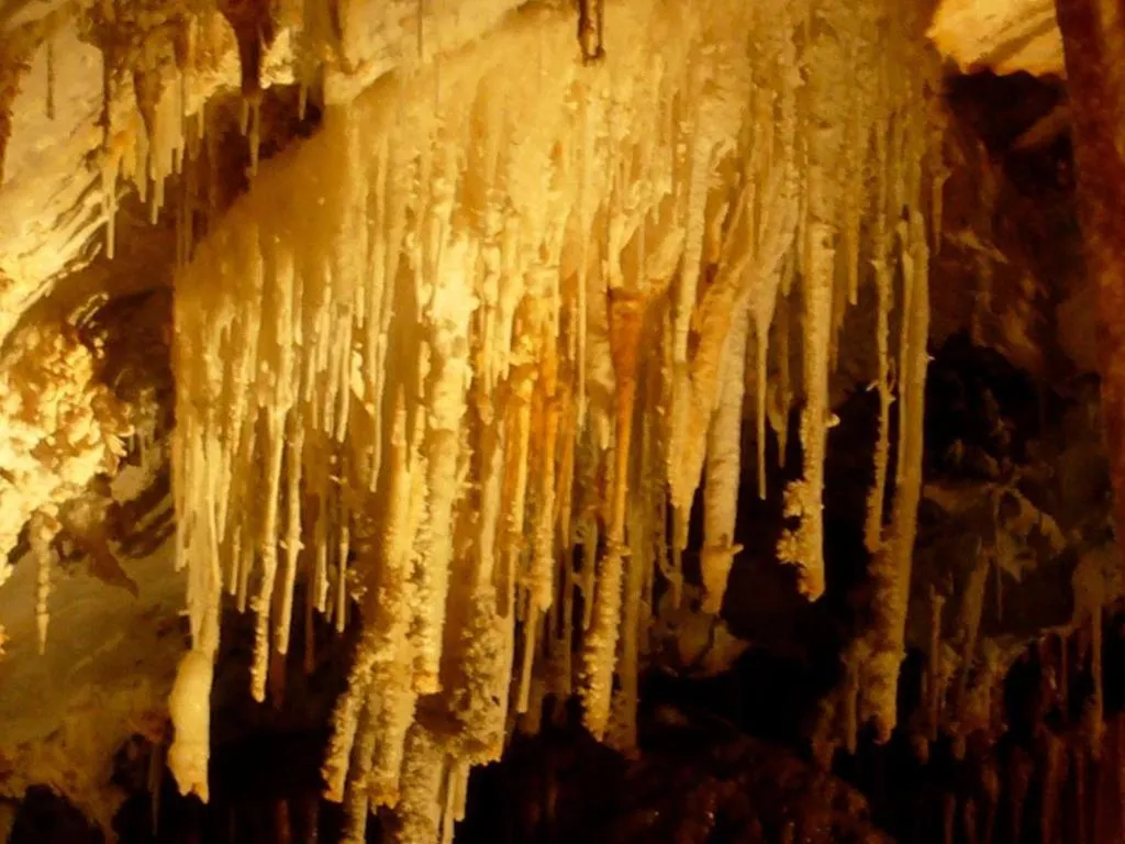 Natural landscape in Château De Siran - Hôtel & Spa