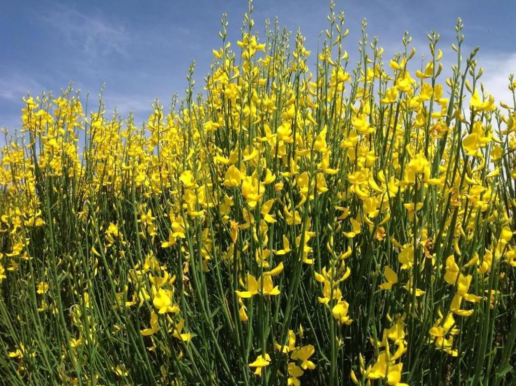 Natural landscape in Château De Siran - Hôtel & Spa